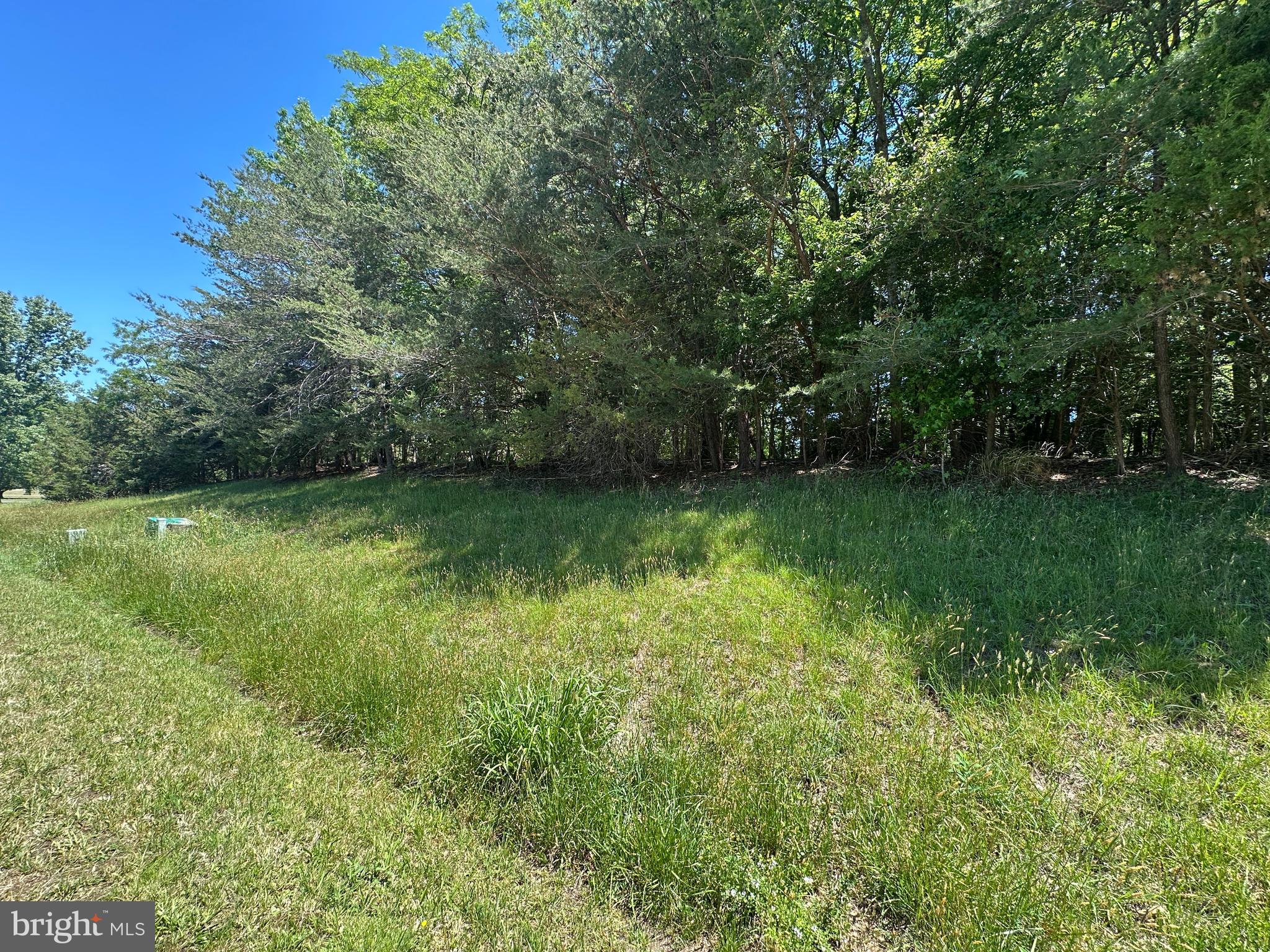 ESPERANZA FARMS - Land