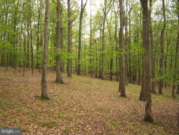 ROUSE MT - Land