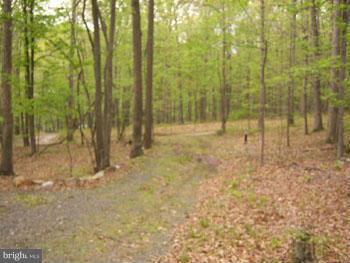 ROUSE MT - Land