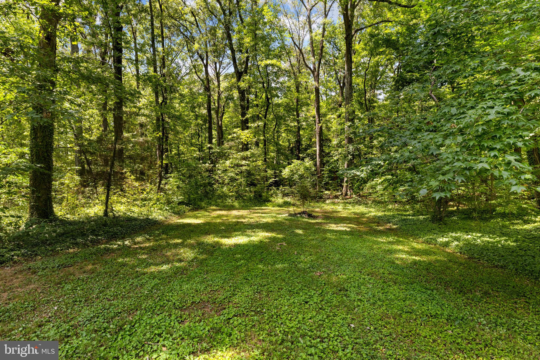 POTOMAC DIST - Residential