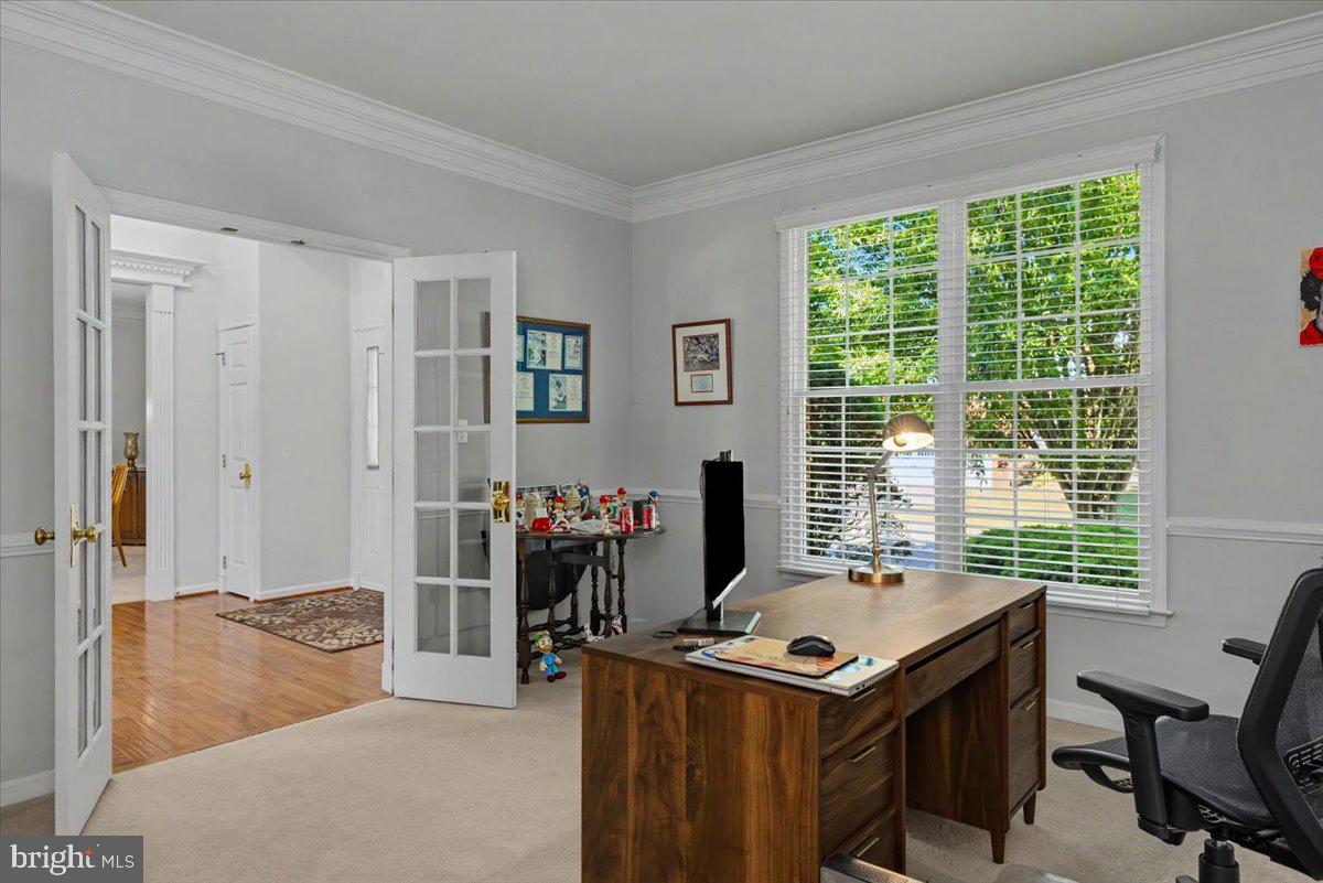 BUCKINGHAM FOREST - Residential