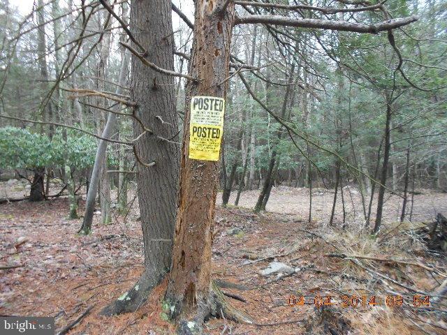 NONE AVAILABLE - Land