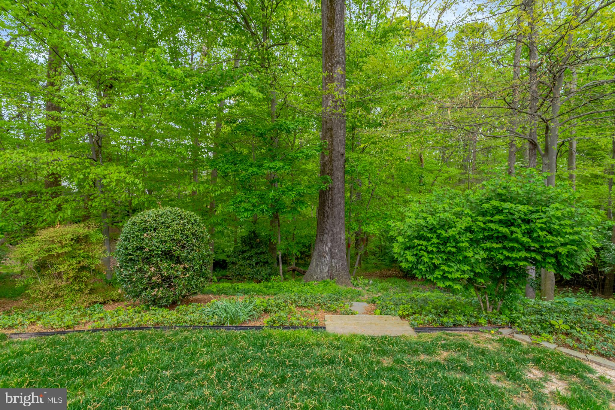 CARDINAL FOREST - Residential