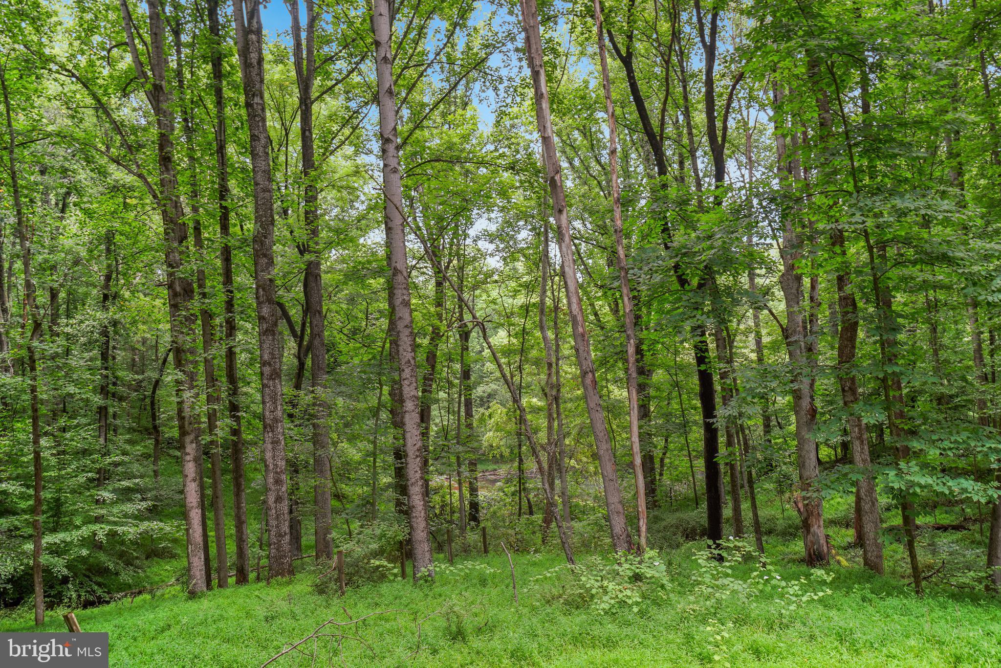 DARNESTOWN OUTSIDE - Residential
