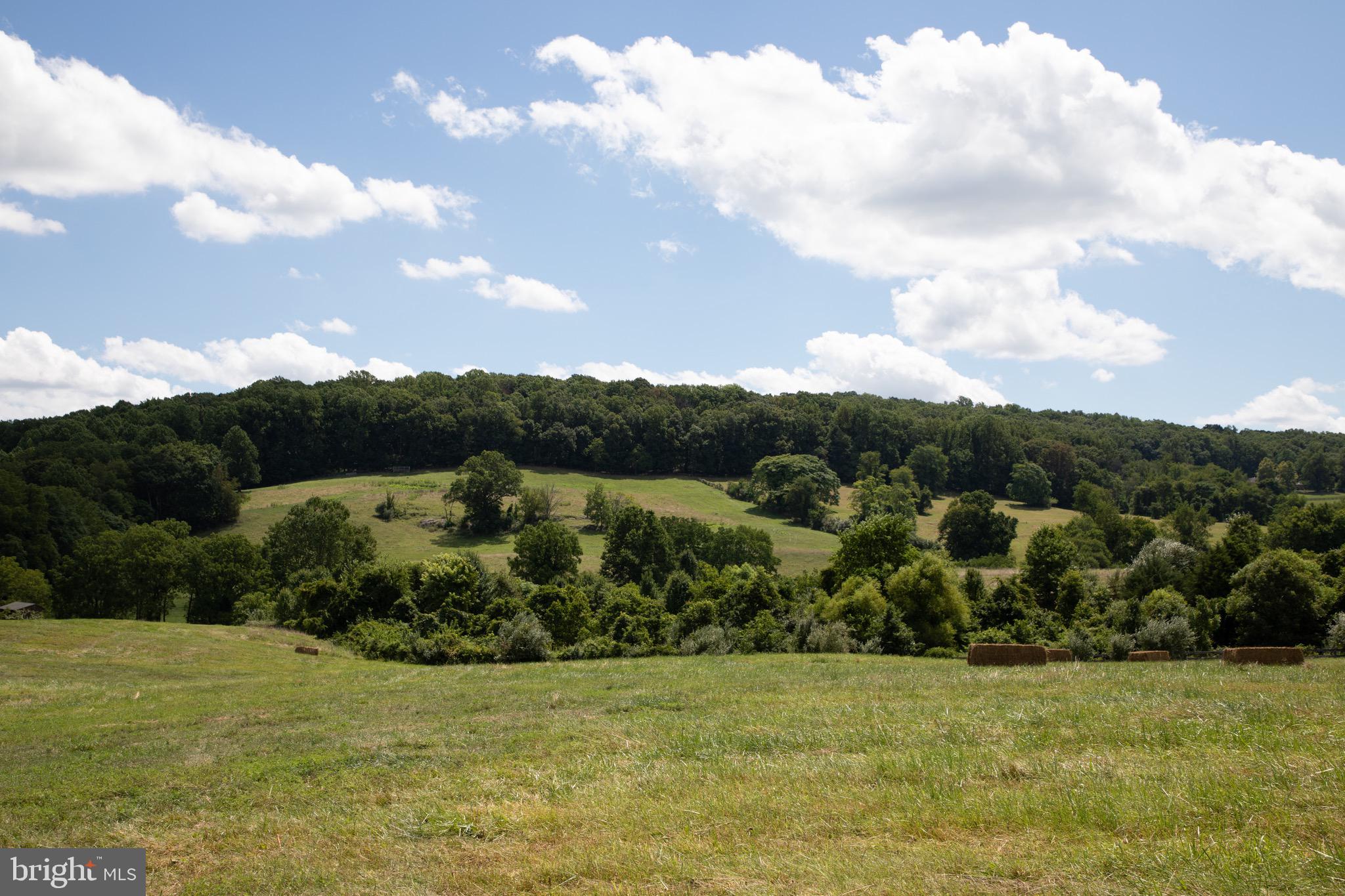 Build your dream home on this spectacular 51 +/- acre parcel of land, complete with rolling fields, woodlands, meandering streams, and some stunning views. This parcel is located in prime Orange County Hunt territory and boast some amazing views of the surrounding country side. The land is protected by an Open Space Easements with the The Land Trust of Virginia. The Easement has designated a building envelope, and with prior approval from the easement holder, one is allowed to build a single family dwelling, not to exceed 4,500 sq. ft. of ground area, and possibly a second dwelling incorporated into another allowed building not to exceed 2,000 sq. ft.  in above-ground living space (Please see attached easement). 
This property has frontage on Burrland Lane and is conveniently situated between Middleburg and the Plains, VA. 
A well is located on the land however, it has never been put into service and does not have electric run to it.