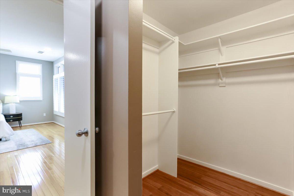 NEWPORT CLUSTER - Residential
