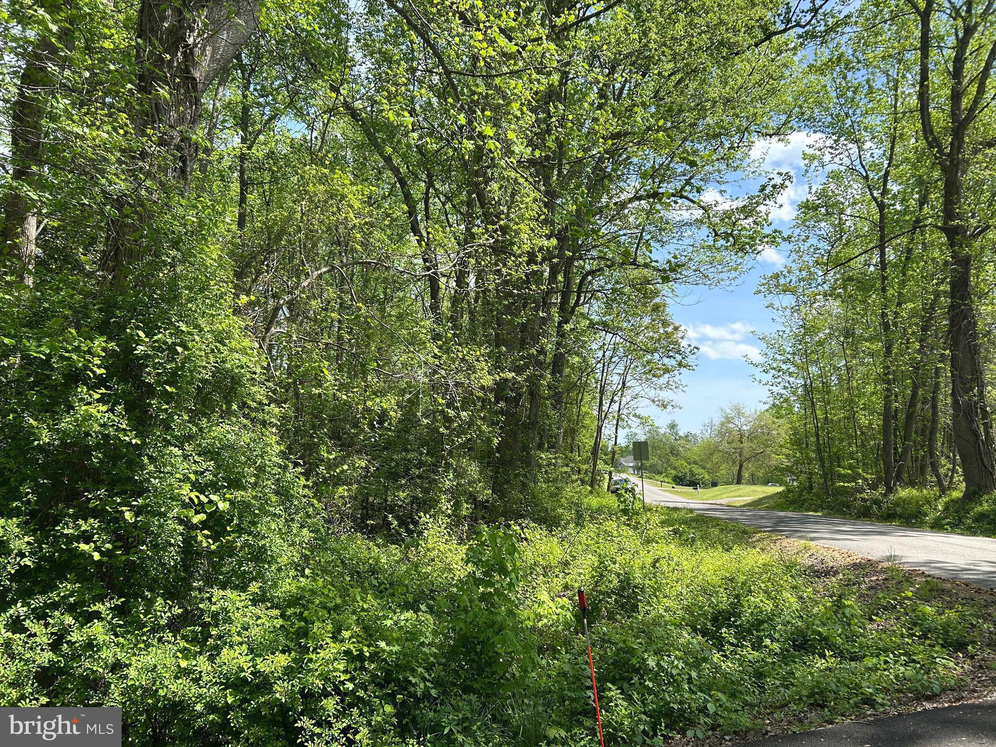 SUBSECTION OF HAYLEST JOHNSON - Land