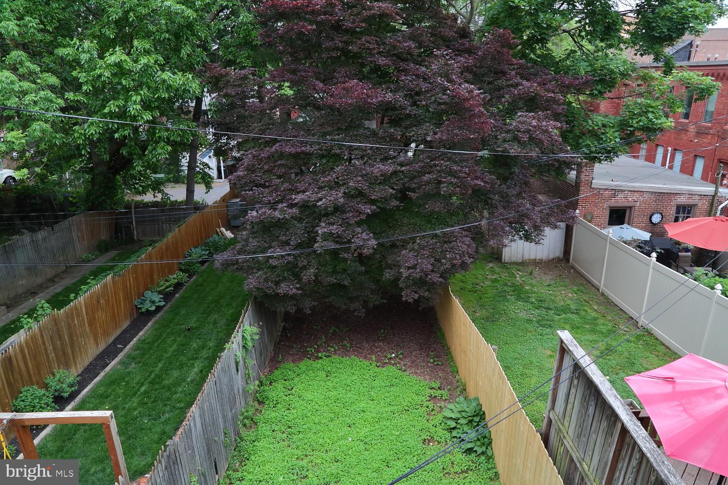 CHESTNUT HILL - Residential