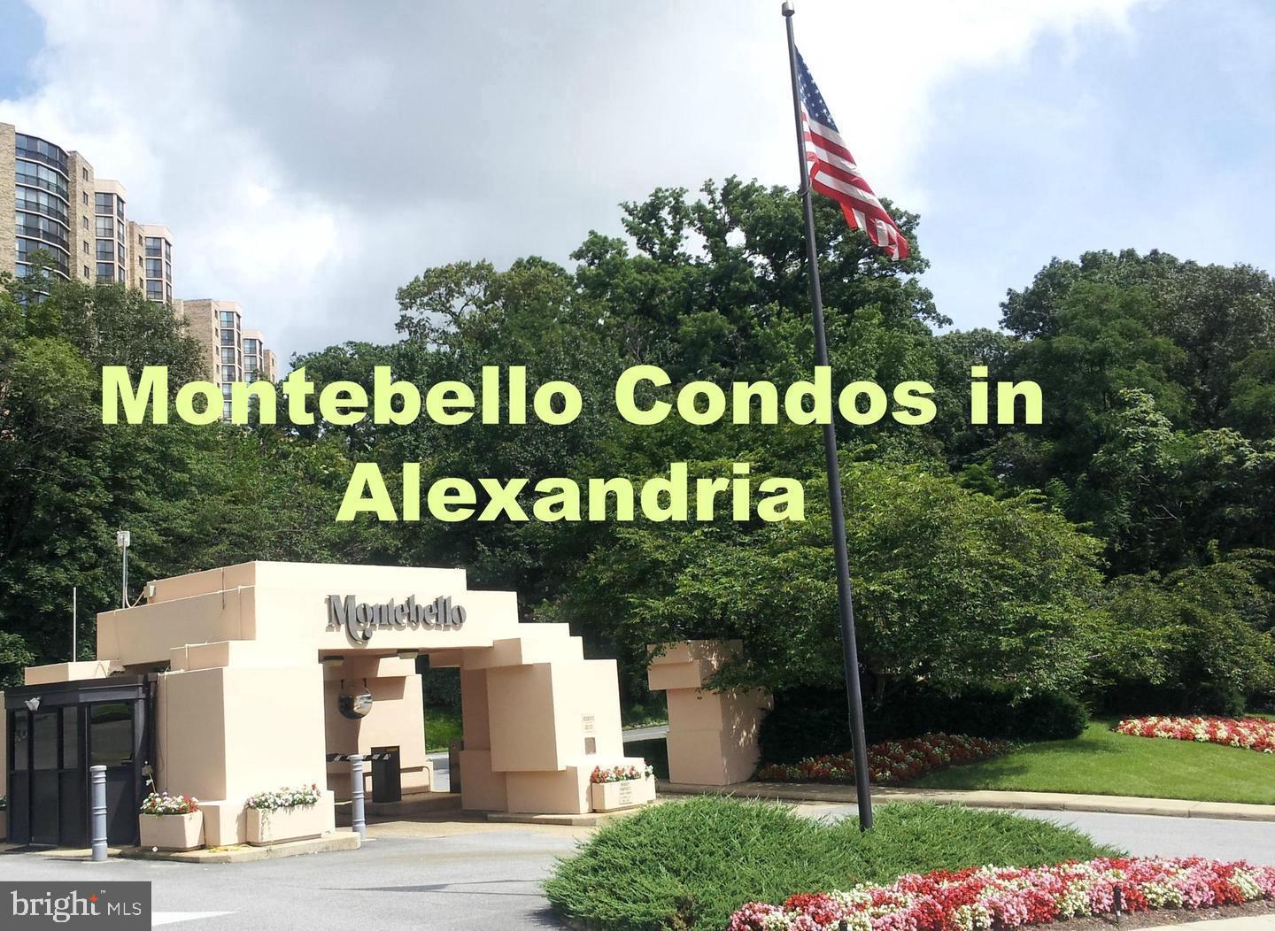 Welcome to your new home in Montebello, the resort-like community just south of Old Town Alexandria! This updated condo boasts a spacious and bright bedroom suite and an enclosed balcony with treed views gives additional year-round living space. The condo features easy-care plank flooring throughout, fresh paint, and a beautifully renovated bath.  Washer/dryer in the unit; water is included in the rent. For cable and internet, both Cox and Verizon Fios are available. 

Montebello offers an array of amenities and entertainment options with a club or activity for every interest. You'll love the all-new community center, and car charging stations, indoor and outdoor pools, a spa and sauna, tennis courts, a bowling alley, a full-service restaurant with a bar, a convenience store, and dry cleaning. There's even a game room with billiards and ping-pong overlooking the indoor pool, a gym with a treed view, and a card room with a wide variety of games. Additionally, Montebello offers 24/7 monitored security, and the 35-acre wooded campus is ideal for hiking or strolling. Outdoor grilling areas and a hobby room and party room are also available for your use. Our buildings and community center are now smoke-free! 

Commuting is a breeze with a short path to the Huntington Metro or the free shuttle that stops right at your building entrance Monday through Friday. You're just two traffic lights away from Old Town, and one from the Beltway and Woodrow Wilson Bridge. Plenty of surface parking is available for you and your guests located right in front of the building, and handicapped spaces are in the back at the B3 level. Come join us in Montebello, a unique and exceptional place to call home.