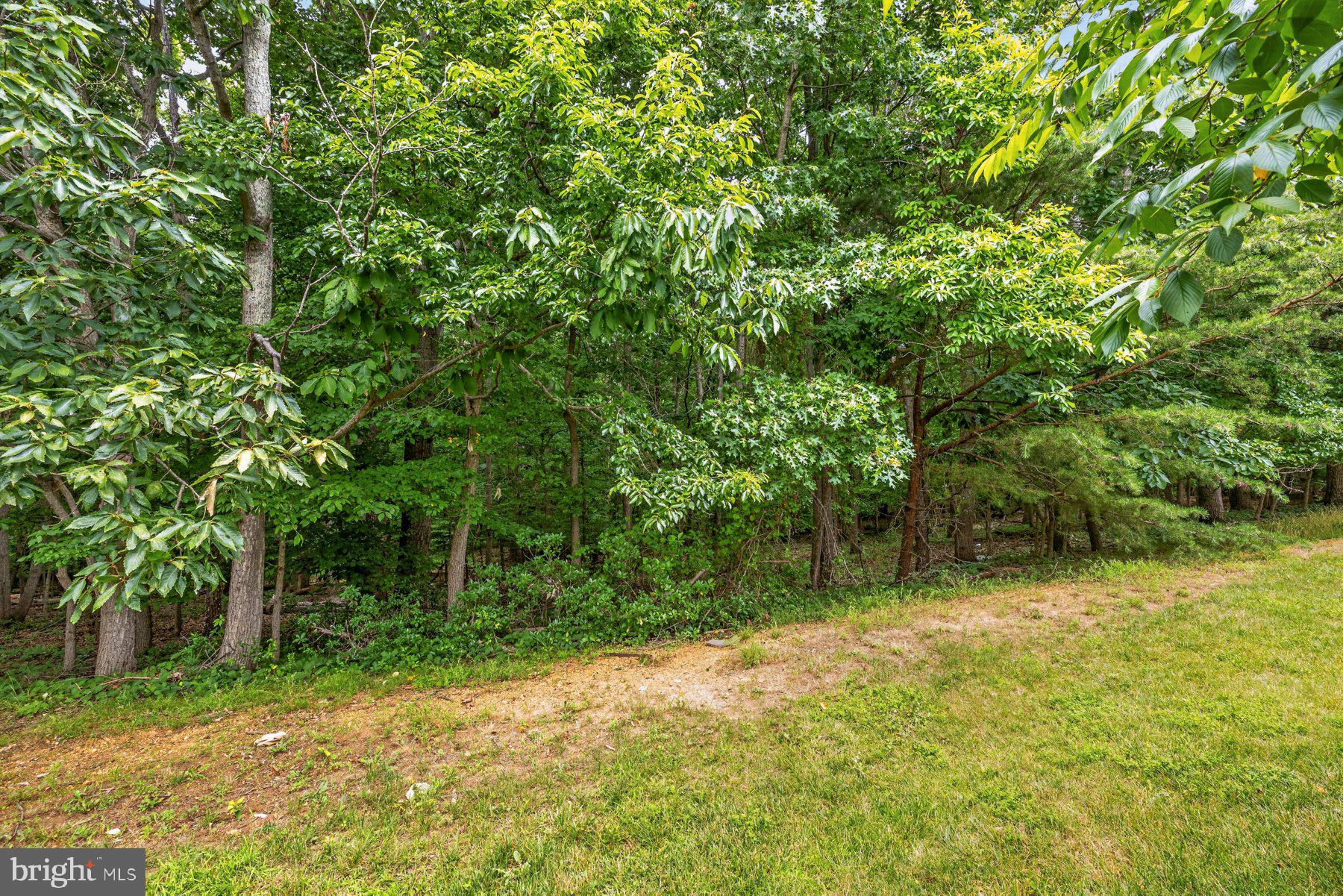 PINEY ORCHARD - Residential