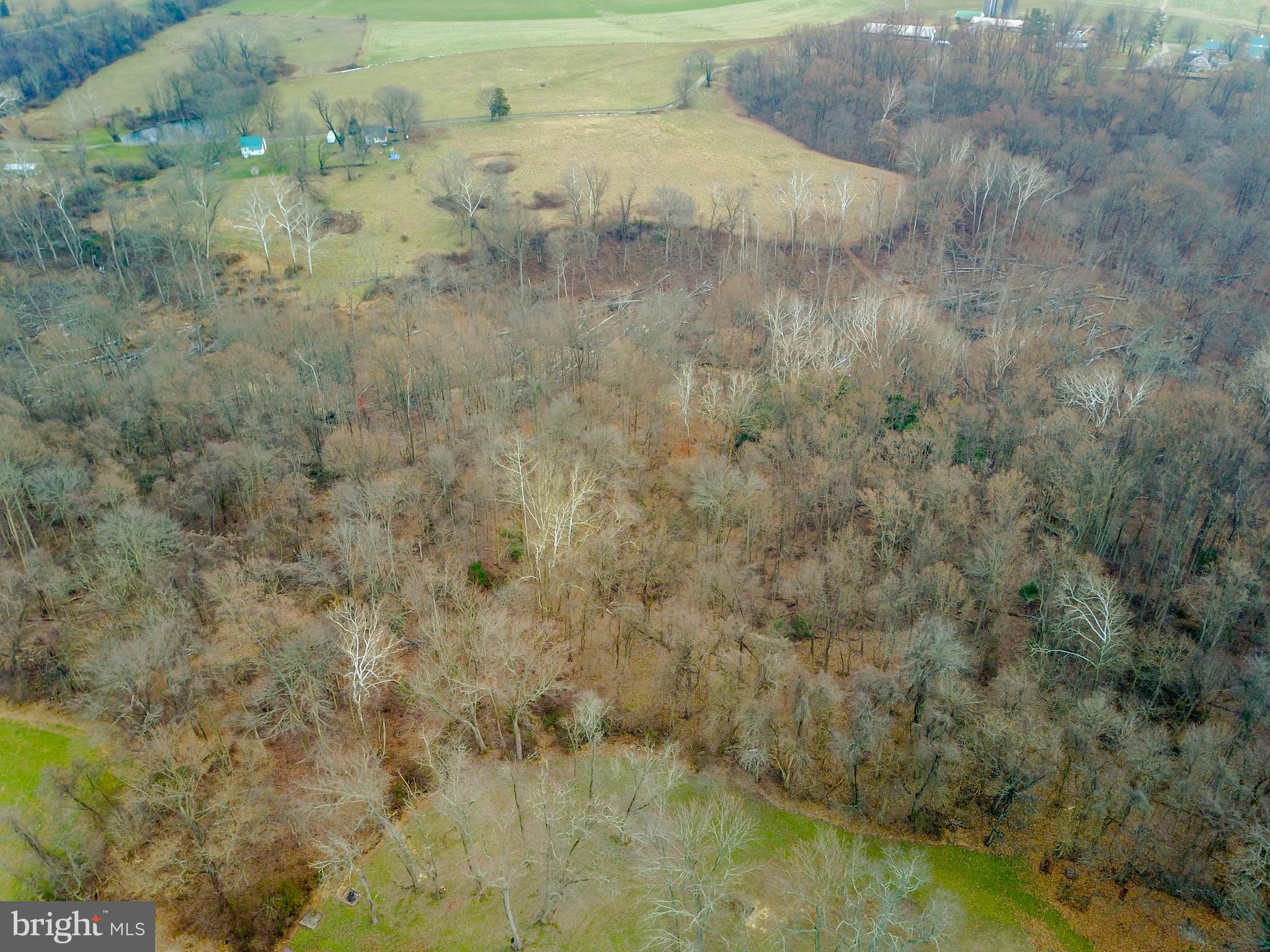BAINBRIDGE - Land