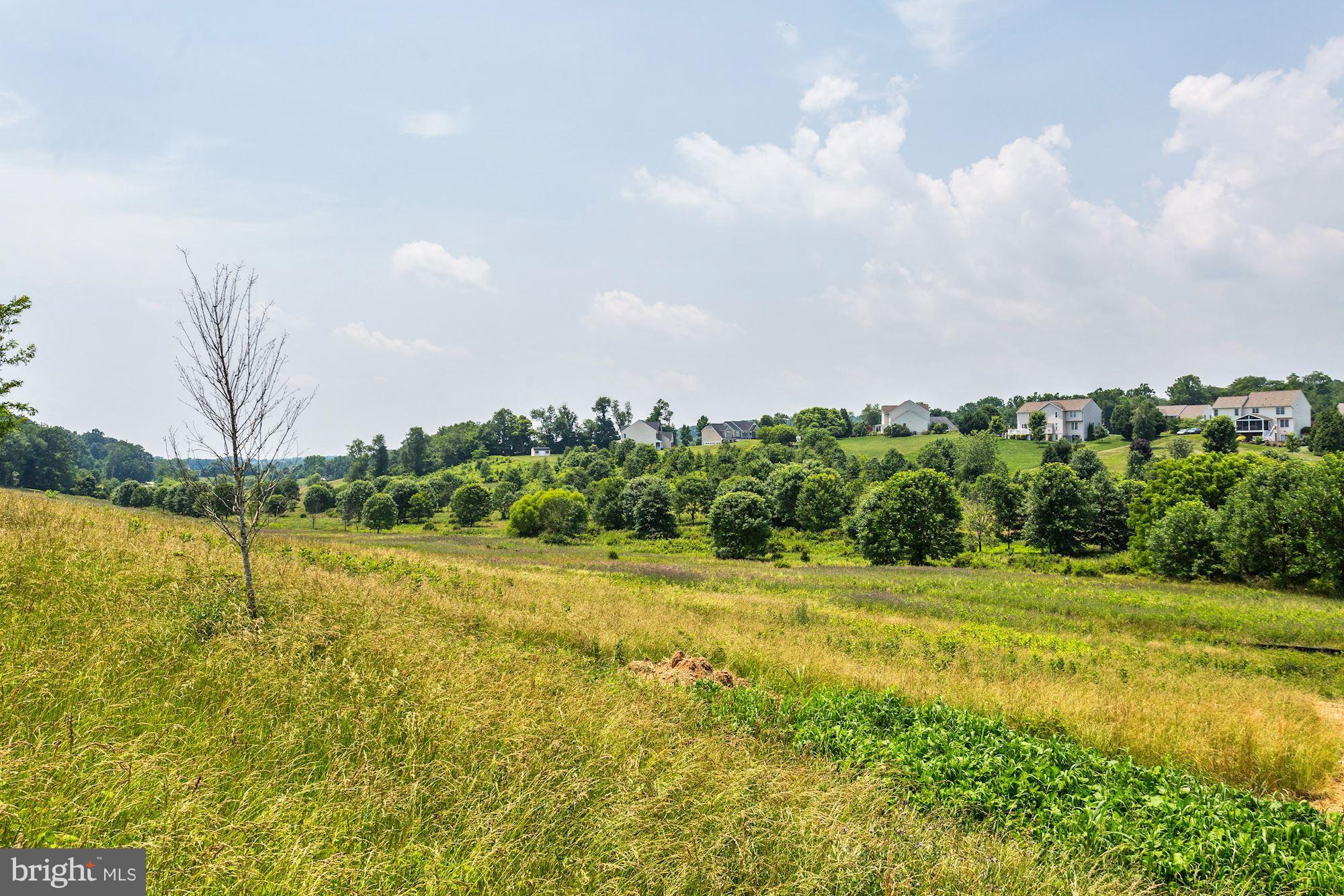 MEADOW BRANCH - Commercial Sale