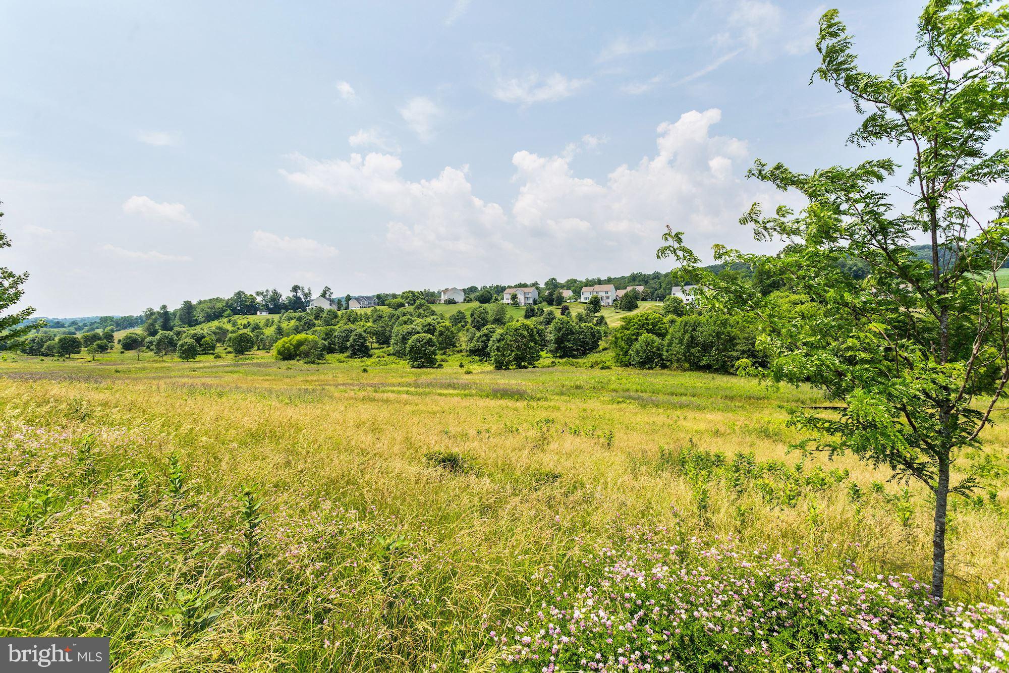 MEADOW BRANCH - Commercial Sale
