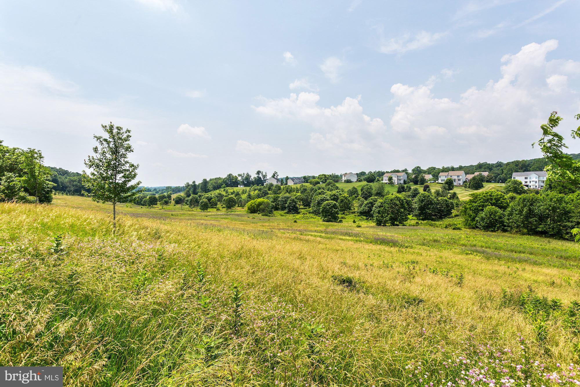 MEADOW BRANCH - Commercial Sale