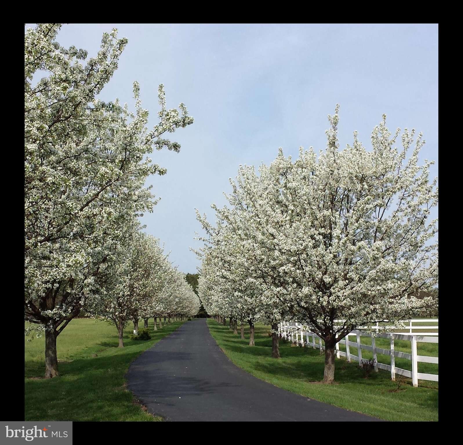 KEENE FARM - Farm