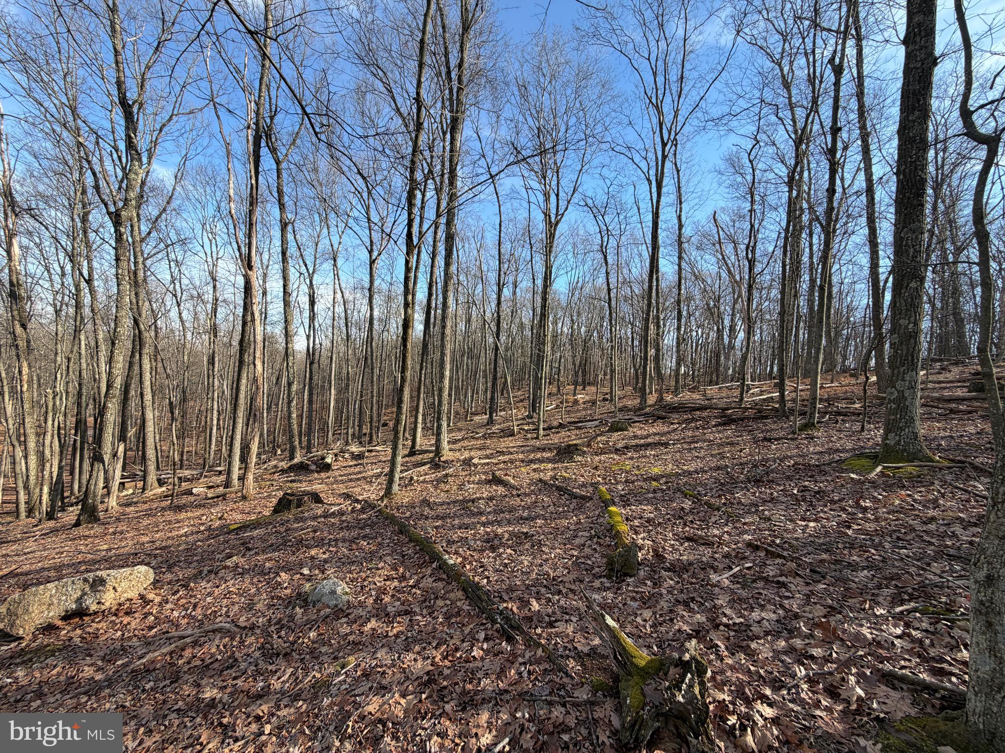 Looking to build in 2026 or beyond?  Secure your lot today!  Situated on a low traveled street with minimal homes, you'll have virtually no neighbors here other than the wildlife.  The adjoining lot 331 Whiteface is also for sale in a separate listing, allowing you to purchase both and build on 1.2 acres.  Whether you've been imagining building a second home or just waiting to build that forever home, WAIT NO MORE!  The Cove Village Community is situated in the foothills of the Poconos and only 1 1/2 hours to New York,  With easy access to I-81 your commute to Hazleton, Wilkes Barre, or Scranton is a breeze.  Bring your own builder and let's get started.   Another cost-saving perc of the community is having public water and sewer already in place and ready for you to connect through Aqua of Pa.   750 acres of unoccupied prime hunting, ATV, and snowmobile riding land surround the residential portion of Cove Village and is allocated only for the residents of the community and their guests!  Driving through the community, the peace and tranquility will envelop you.  At any given moment the deer, turkey, and birds will entertain you in your own backyard.   Homes within the community vary from rustic cabins and chalets to traditional ranch or two-story homes and even exquisite new construction or dreamy mountain log homes.  There really is something for everyone.  The approximately 278 acres of residential homes and lots are occupied by full-time residents, part-time vacation homes, and even some snowbird second homes.  Cove Village offers an abundance of amenities including a swimming pool, stocked fishing lake, a basketball court, tennis courts, a volleyball court, 2 playgrounds, a baseball field, ATV paths, hunting, a mini golf course, walking paths, and year-round Community events.  I can't forget to mention the beautiful lodge ideal for renting for family gatherings.   This lot and community just might be exactly what you've been looking for.  Air B and B are not permitted. Camping on vacant lots is not permitted.  Mobile homes are not permitted.  Modular homes are permitted. The minimum square footage when building is 1400 square feet.  The community maintains the roads and snow removal.  Trash collection is also provided.   An appointment is required to view due to the gated community.  Call to schedule your tour today!