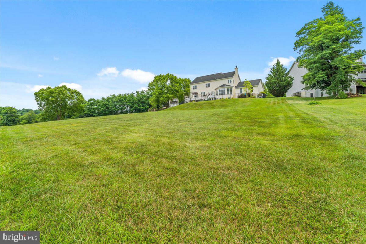 HOLLY HILLS - Residential