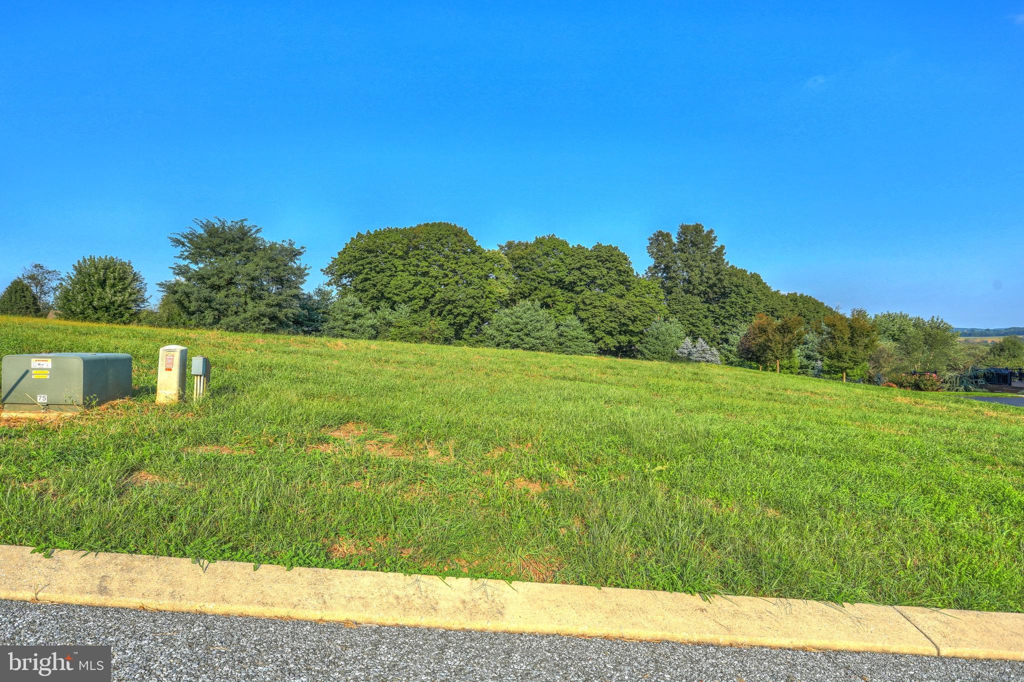 Great views on this ready to build lot in popular Spring Forge development. All public utilities.  Sidewalks and lantern style street lights. Excellent location. Beautiful curved streets. Additional lots available.