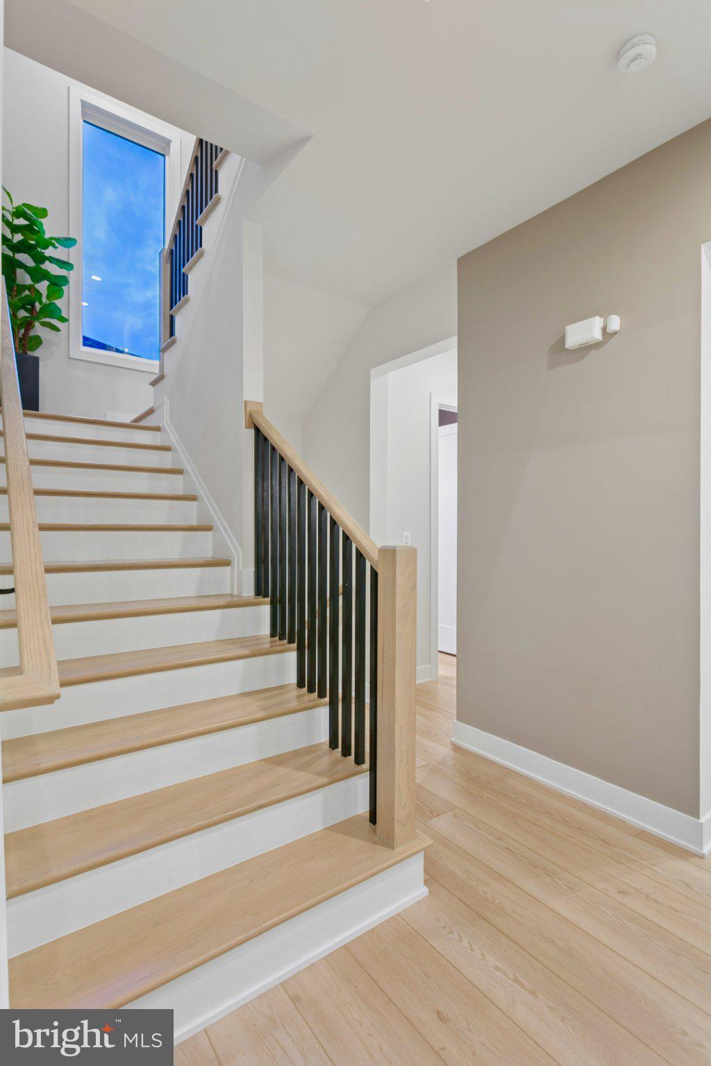 LENAH MILL ESTATES - Residential