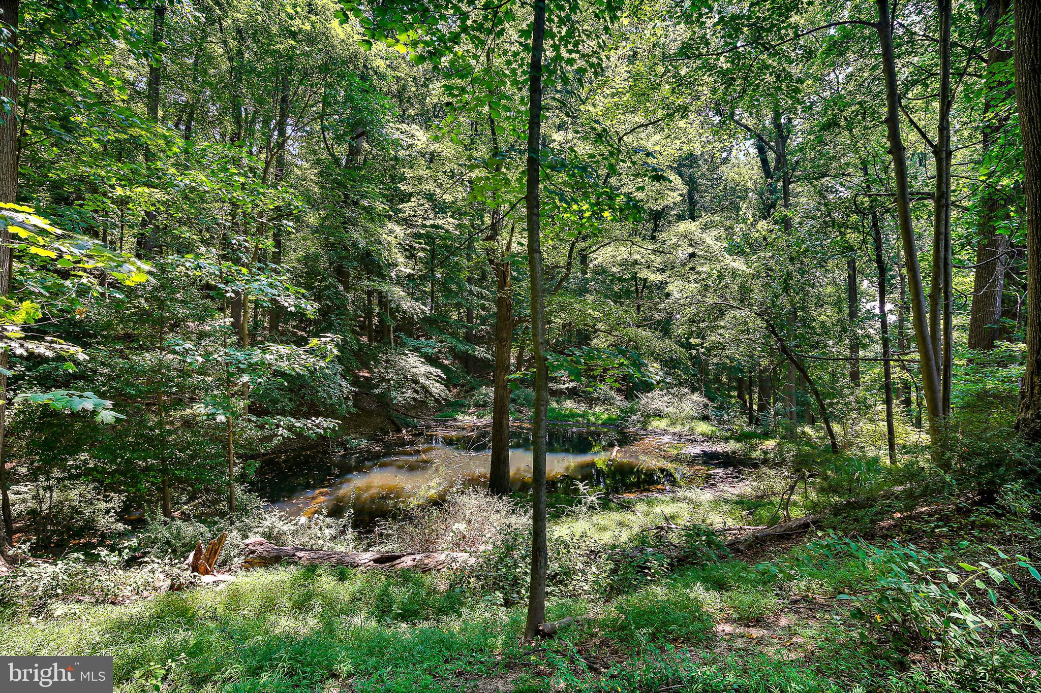 LUTHERVILLE - Land