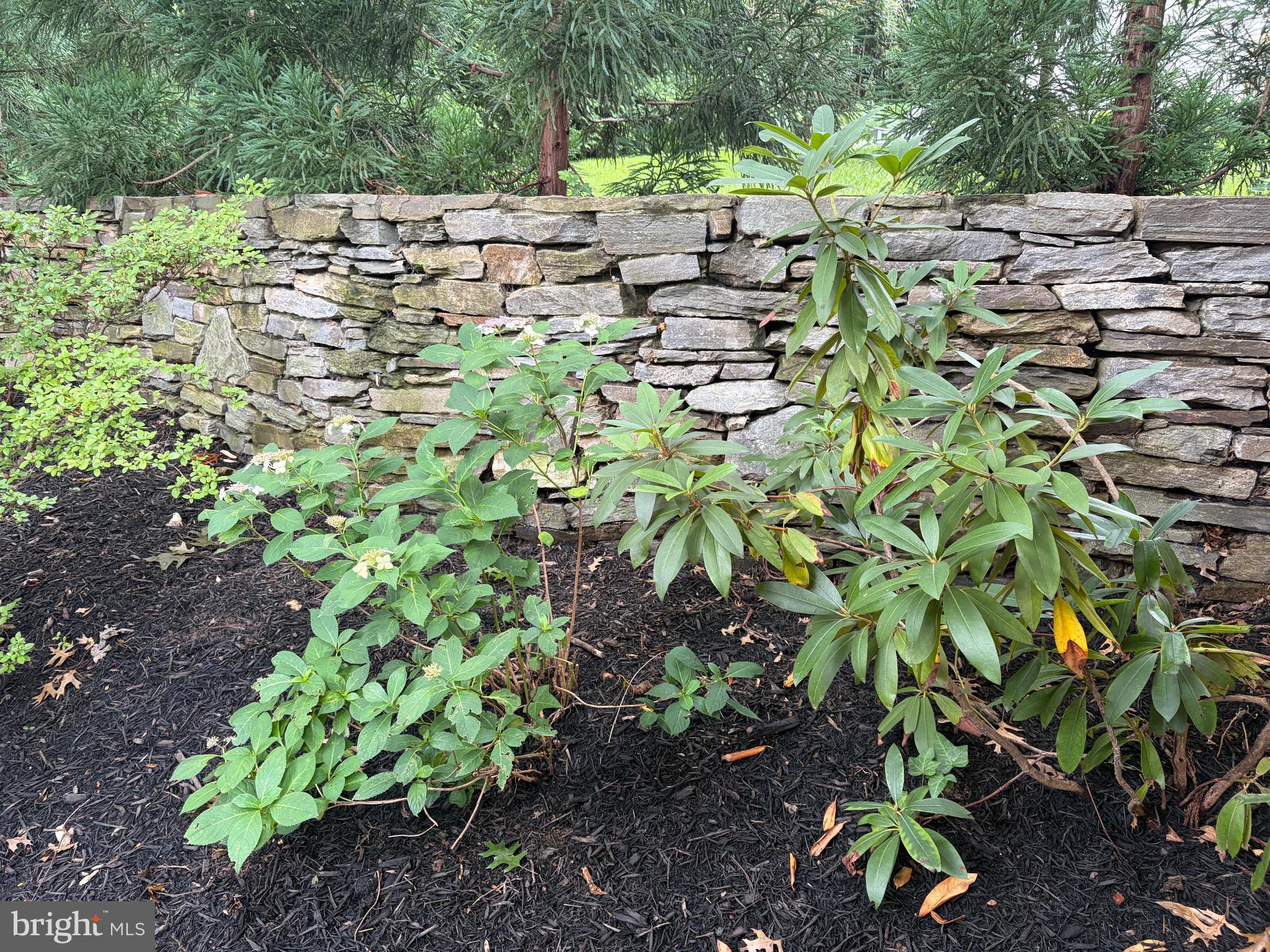 NORTH BETHESDA GROVE - Residential