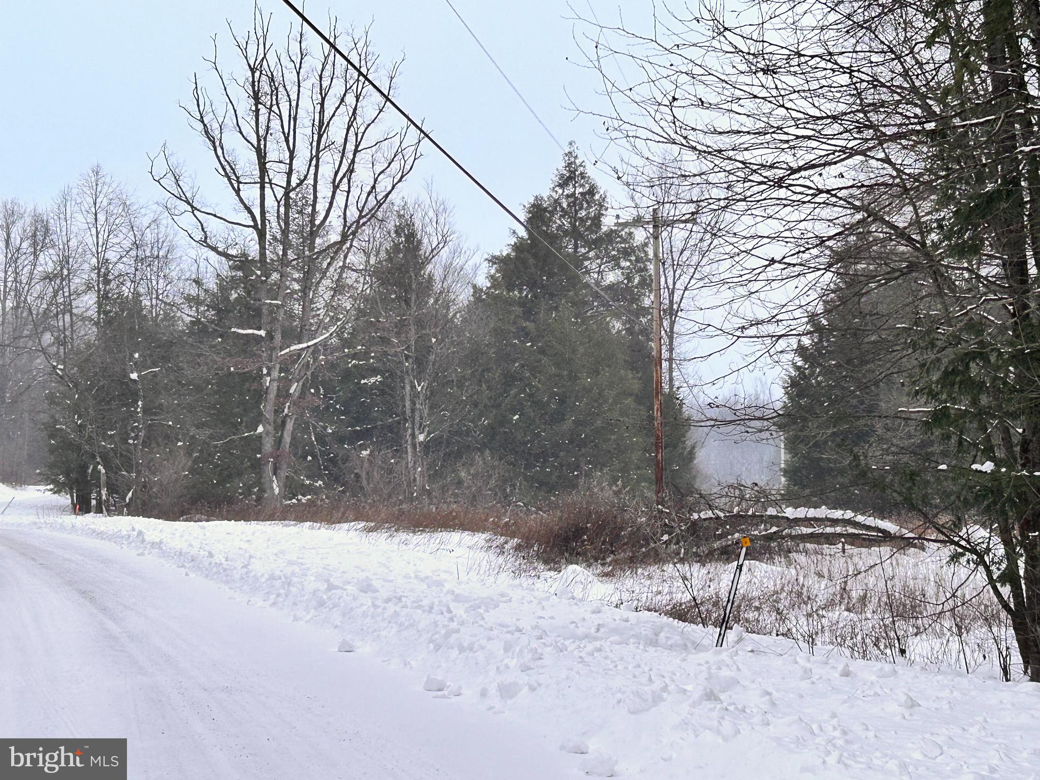 Beautiful acreage with road frontage in Curwensville area. Perfect for permanent residence or for recreational property. Watts Creek run thru the land & electric is at the road.