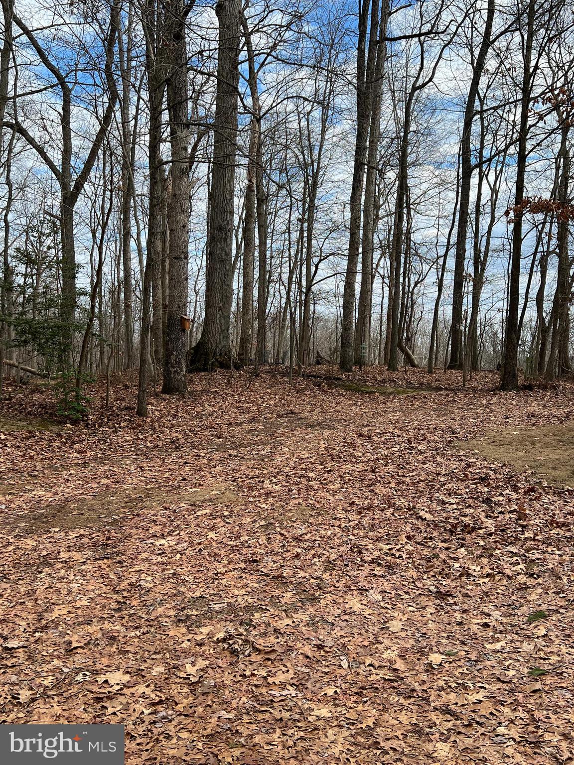 DOVER ROAD - Land