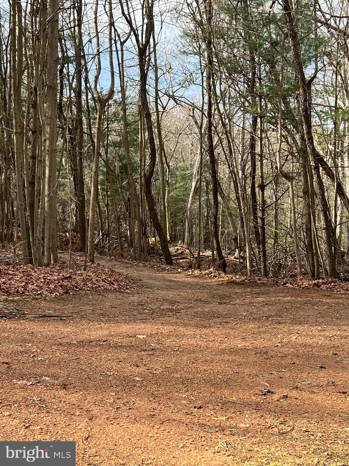DOVER ROAD - Land