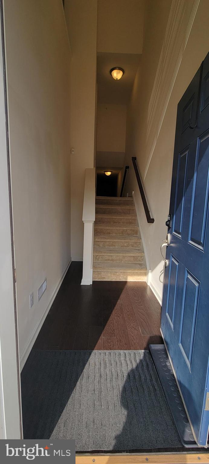 HIGH GROVE - Residential