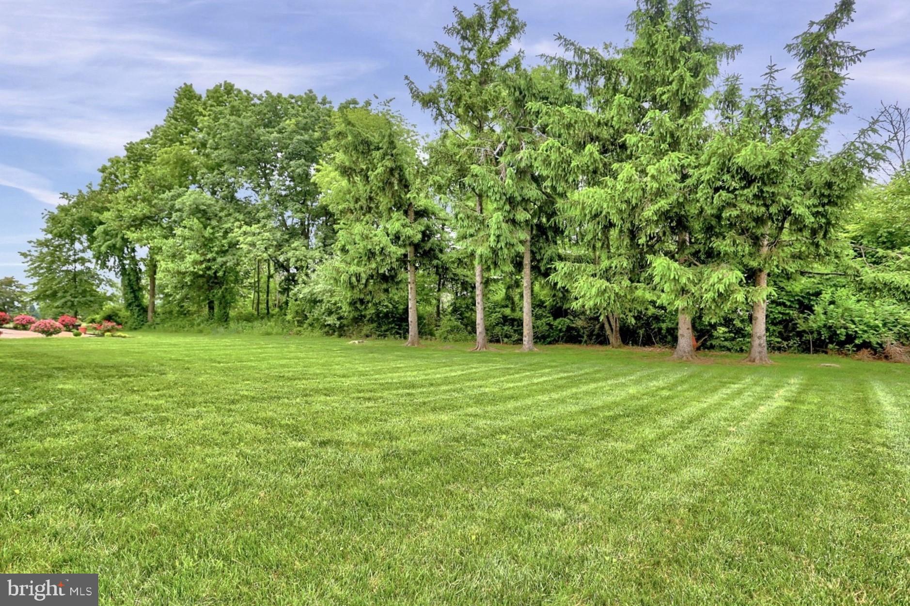 BRANDYWINE WOODS - Residential