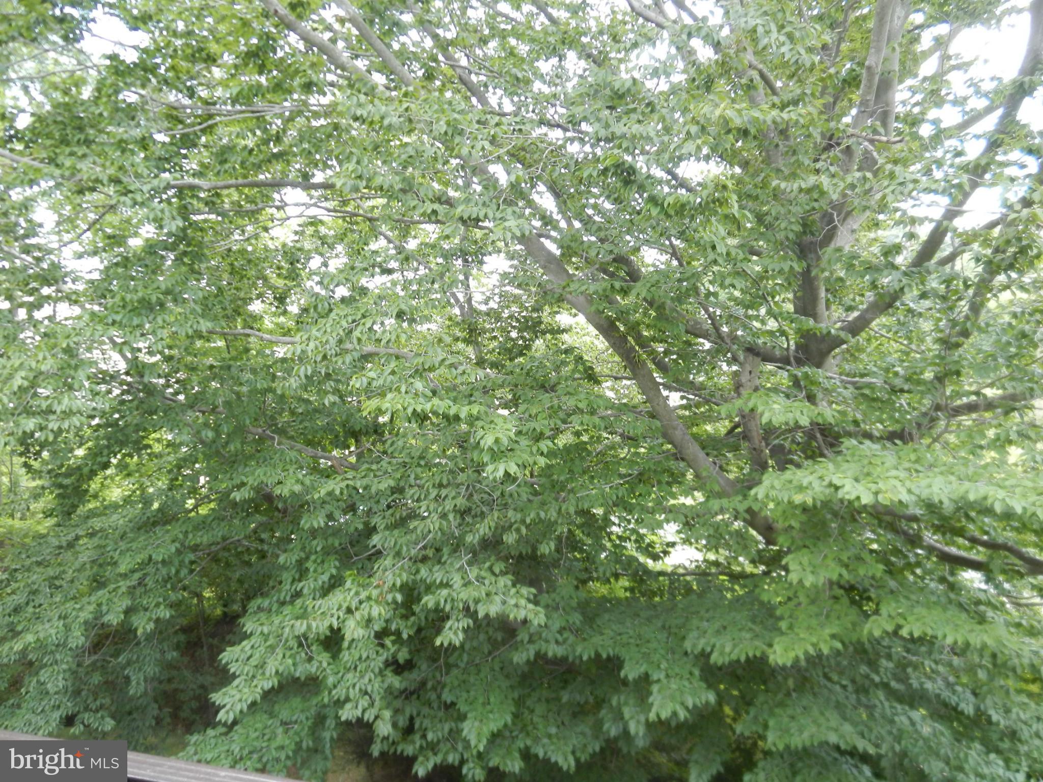 HICKORY HILLS CONDOMINIUMS - Residential Lease