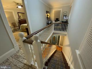 HISTORIC CAMBRIDGE - Residential