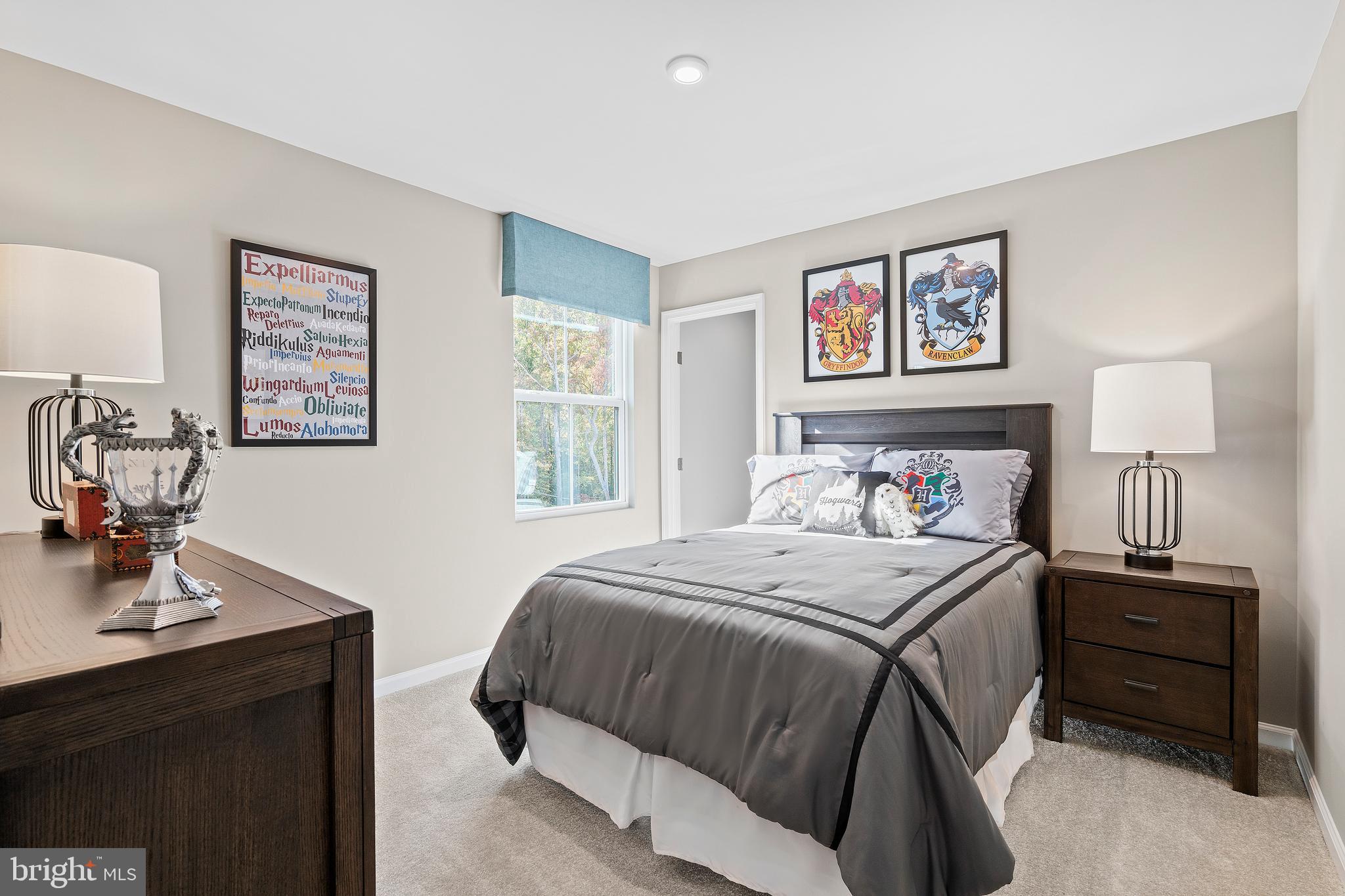 CARDINAL POINTE - Residential