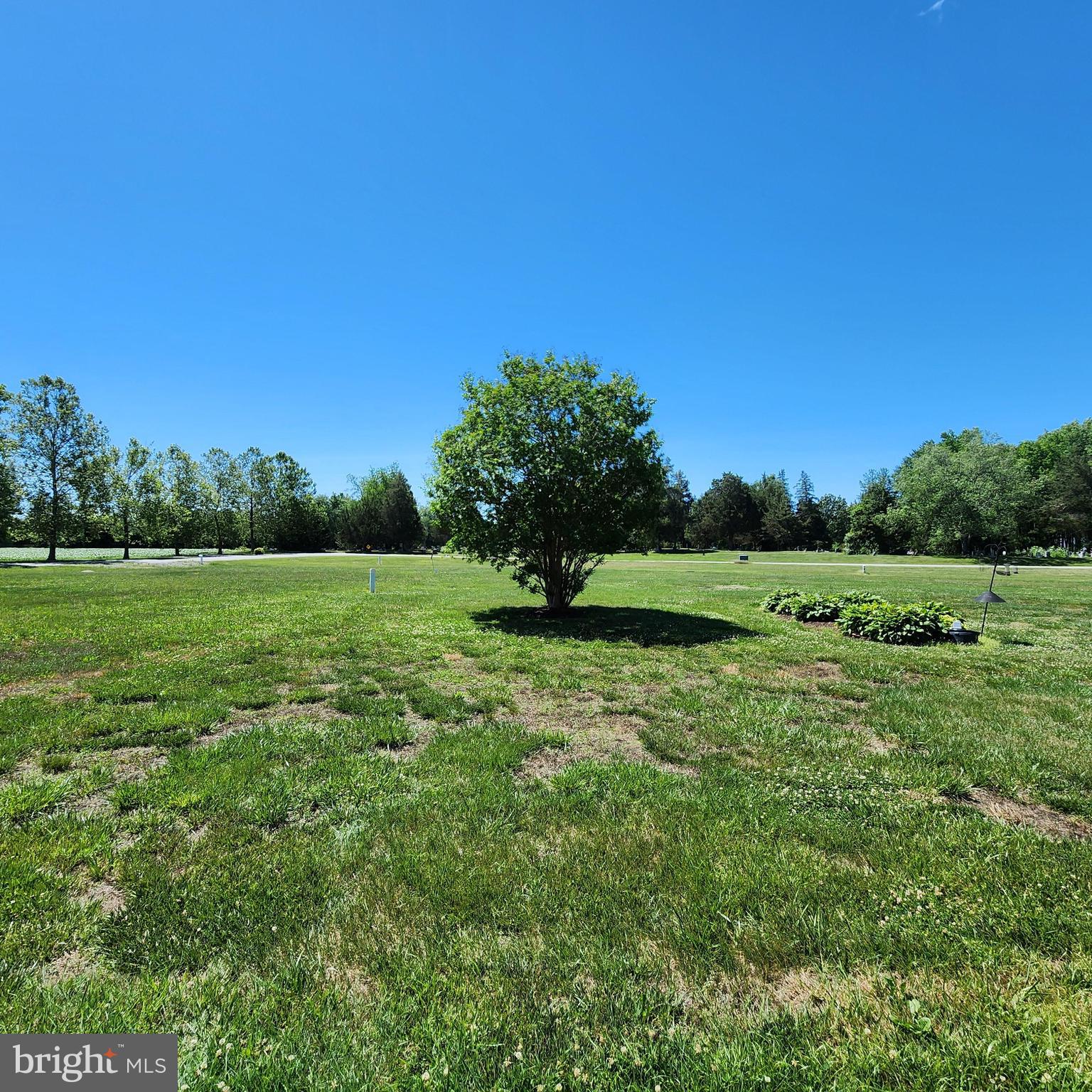THE POND AT CHURCH HILL - Residential