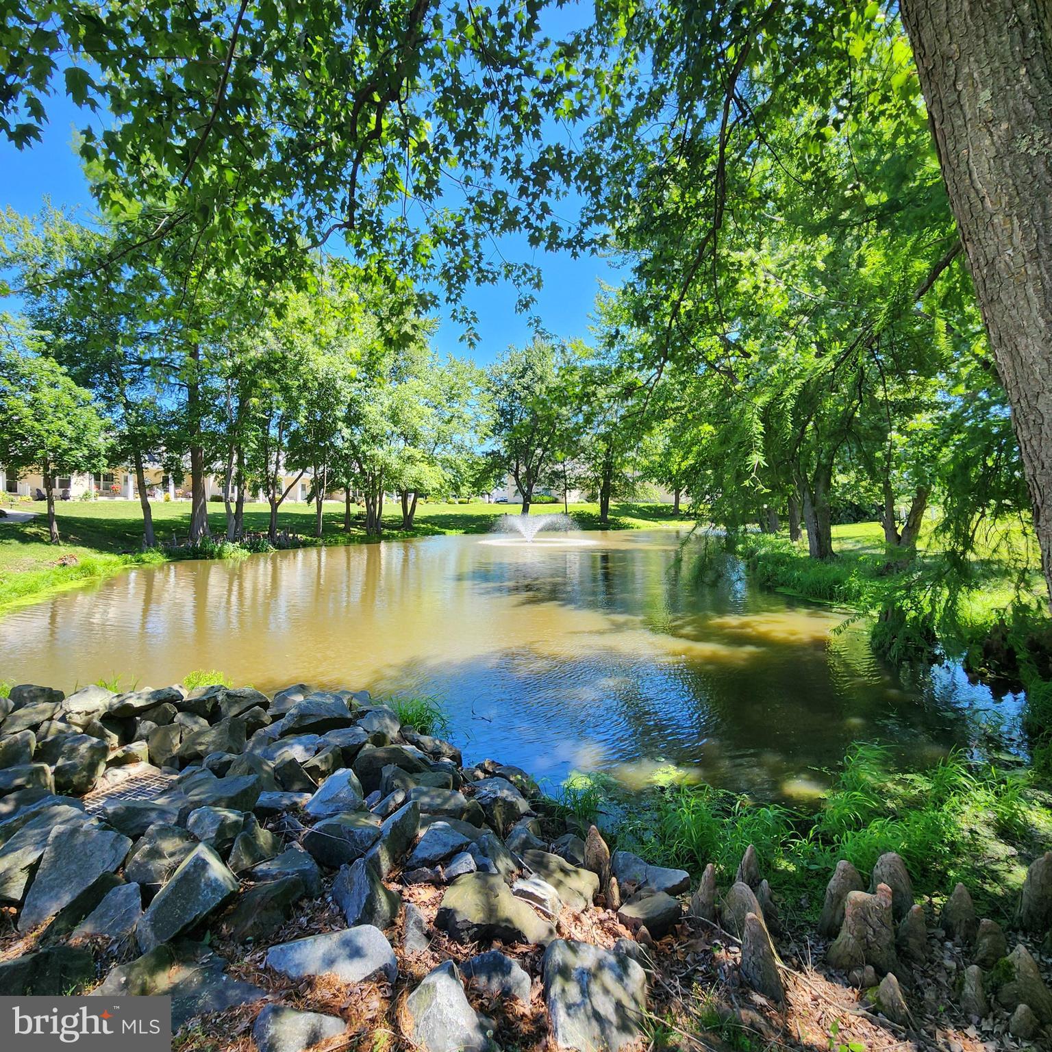 THE POND AT CHURCH HILL - Residential