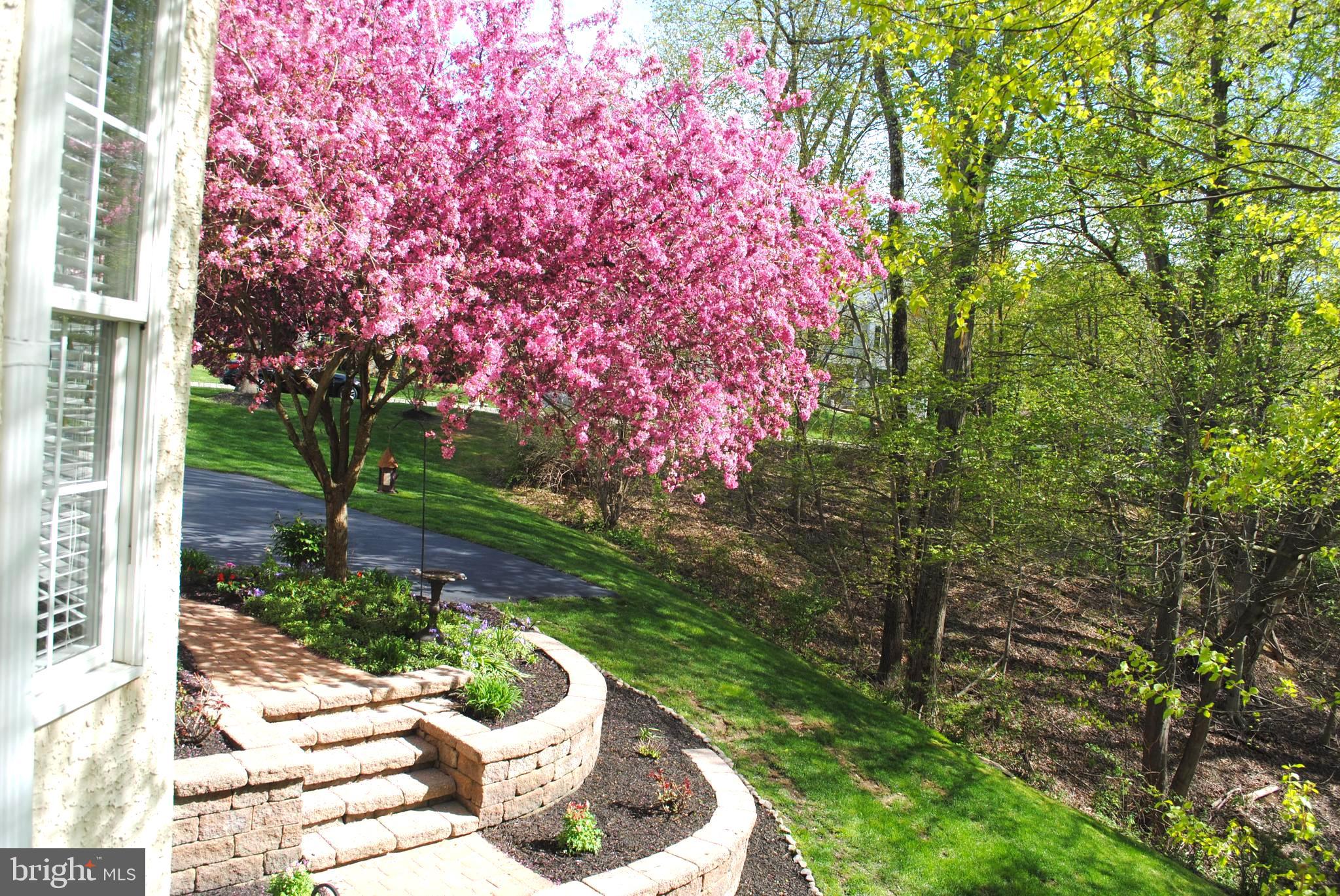 CHERRY CREEK - Residential