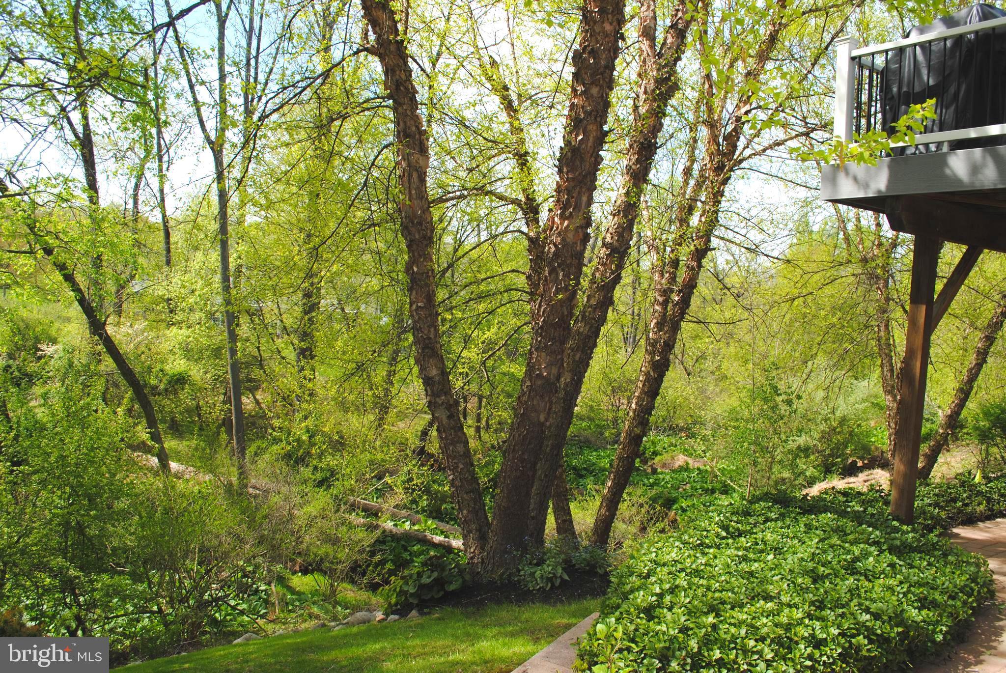 CHERRY CREEK - Residential