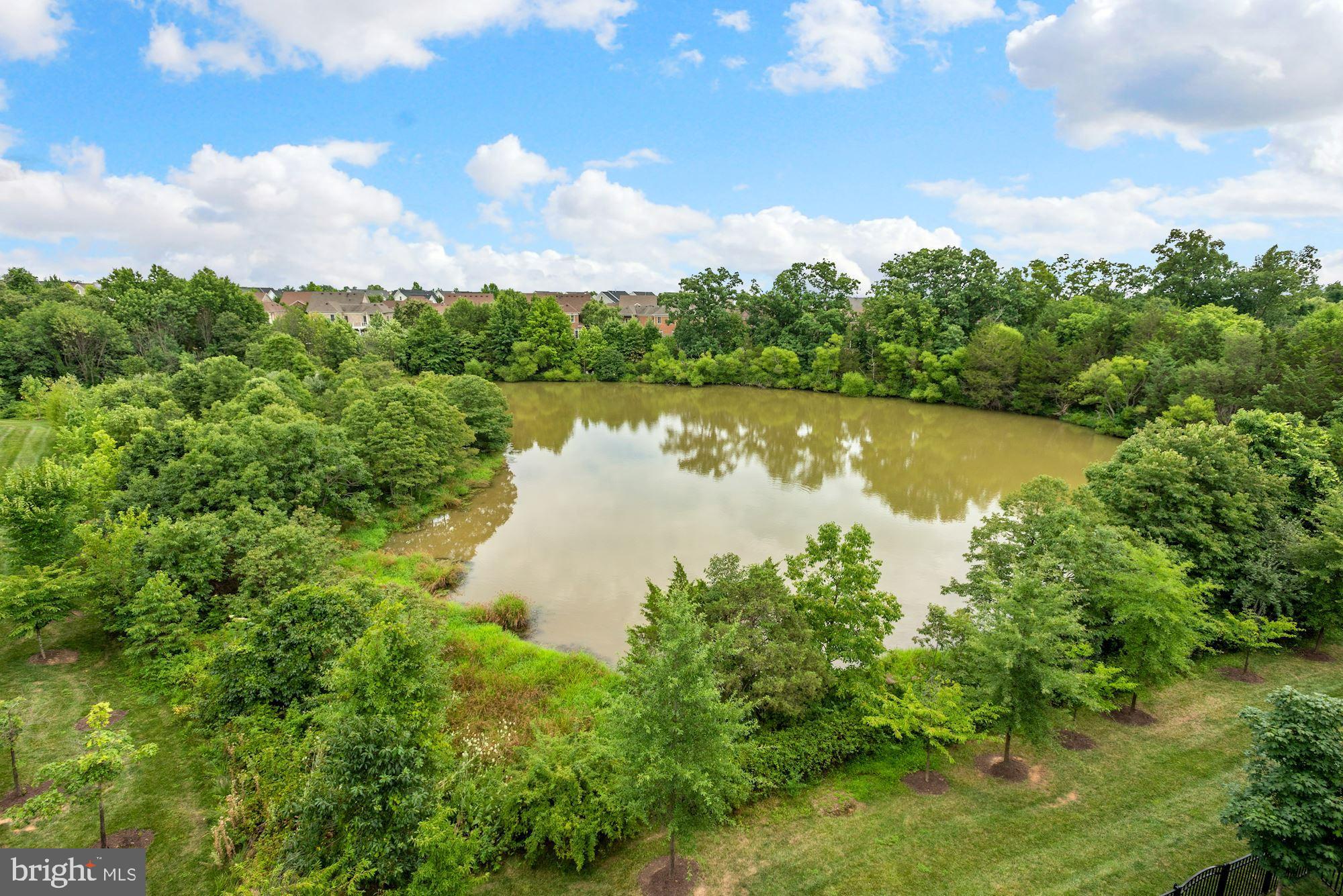 GARDEN DISTRICT AT BRAMBLETON TOWN CENTER - Residential