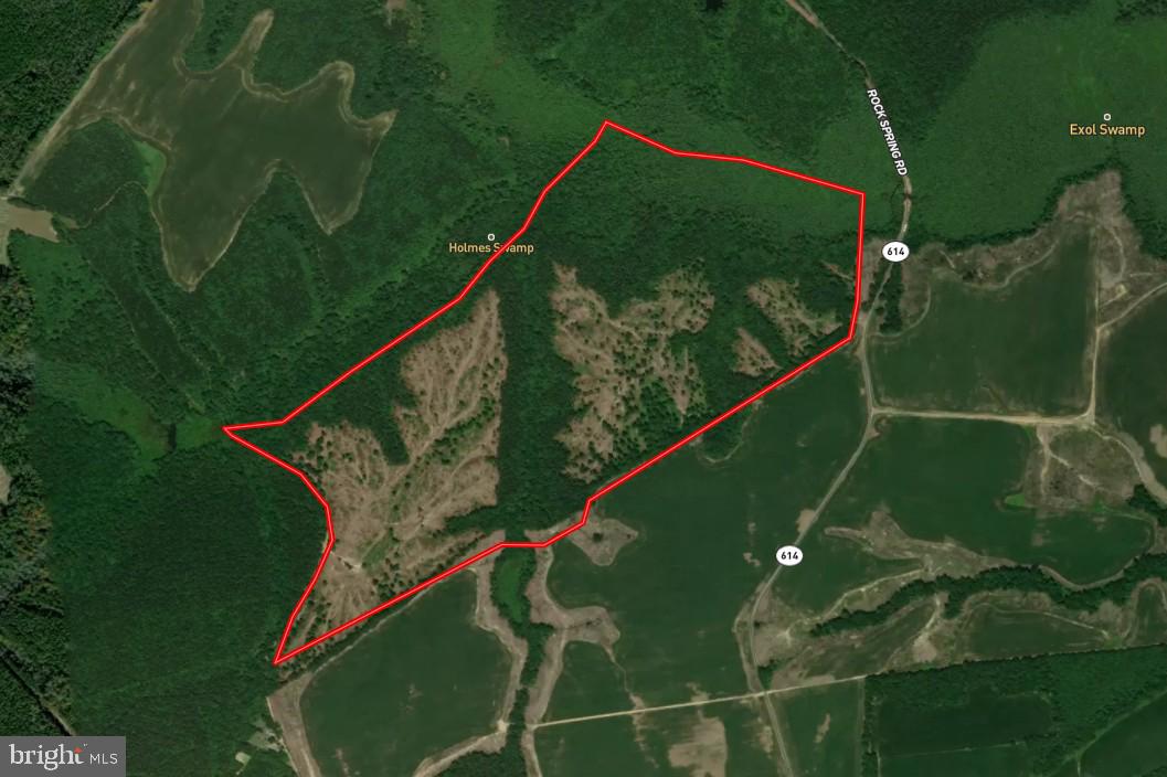 Boughan Tract (NT6752) — Key Land & Tax Summary
The Boughan Tract encompasses approximately 209 acres within the Dragon Run watershed and benefits from direct road frontage along Rock Spring Road on its eastern boundary, providing clear and reliable access into the property. The tract is further defined by its relationship to the Dragon Run system, with a portion of the watershed extending along its northern boundary, reinforcing both its ecological context and natural landscape continuity. Protected under a conservation easement held by The Nature Conservancy, the property is permanently maintained as a working forest—preserving its ecological integrity while supporting sustainable timber management.

The tract is defined by its scale and continuity, contributing to one of the largest unfragmented forest systems in the lower Chesapeake Bay region. Its timber base supports ongoing forest management practices, while its position within the Dragon Run and Mattaponi River corridor reinforces both habitat value and long-term environmental significance. As part of this broader conservation landscape, the property benefits from structural protections that prioritize land continuity and ecological function.

Per paragraph 2.1 Subdivision and paragraph 2.2 Building Envelopes, these properties can be managed for limited residential use, designed to minimize impact on the surrounding forest. The tract’s size and internal access also support a range of recreational uses, including hunting and passive land enjoyment, without compromising its primary function as managed timberland.

The Boughan Tract is best understood as a scaled, institutionally aligned landholding—where conservation objectives and biological productivity converge within a protected and increasingly scarce forest system.

Property boundaries are estimated based on available data and are not warranted. Property owner to provide title research for Buyer prior to closing. 

Location & Identity
Name: Boughan Tract
Legal Description: Boughan Tract #6752
Parcel ID: 23-159R-749
County: King and Queen County, VA
Coordinates: 37.7123766, -76.7691678

Acreage & Size
Total Acres: 209 acres (note: marketed 209 acres—needs reconciliation)

Volume Breakdown
Hardwoods
Sawtimber: 303.18 MBF 
Pulpwood: 1,796.09 tons

Softwoods
Sawtimber: 1,199.45 MBF
Pulpwood: 7,215.88 tons

Assessment and Taxes
Assessed Value (2025): $301,900
Land Value: $301,900 (no improvement value)
Tax Amount: $1,569.88 annually