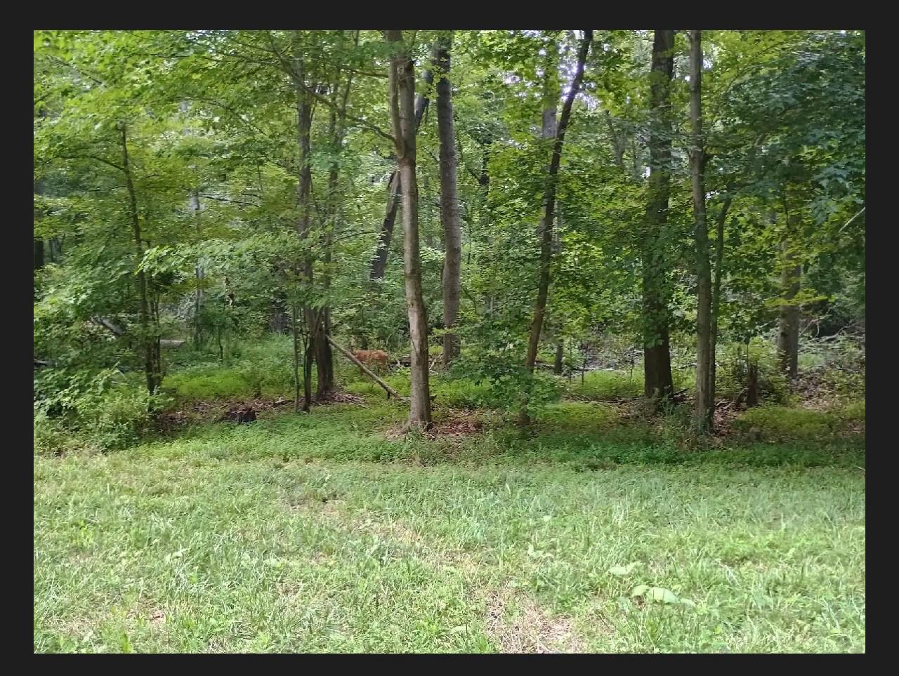 This 15 acre property is located in Lexington Park near Gate 3 and is deeded "Open Space".  The property is nearly 100% Old growth trees with a small runoff pond and small stream.  The land backs up to many properties on Piney Orchard Street and has  1,800ft of road frontage on Janet Lane and  450ft of road frontage on Rt 712. Raw Land. Recreational. Contact county  for land use.