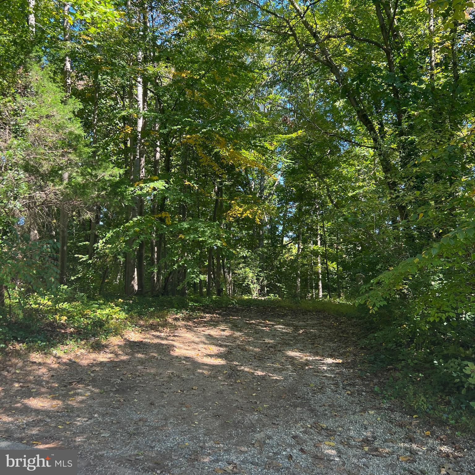 Build your paradise. This wooded .65 acre lot is a double lot (.27 acre/.38 acre) and already has a well on site. Property once had a cabin on it. Backs to power lines.