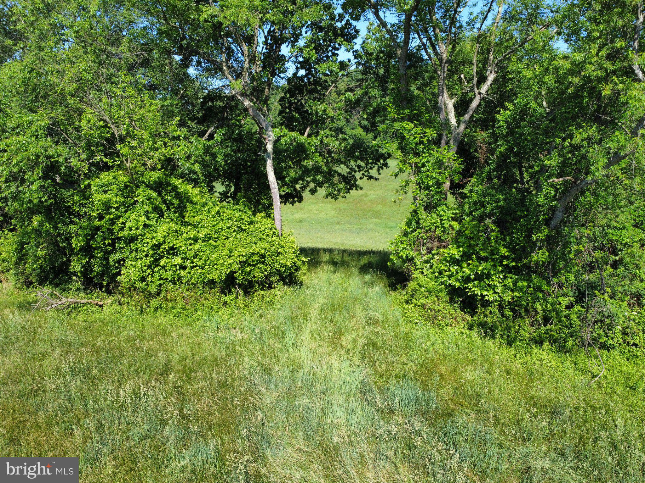 CHESHIRE HUNT - Land