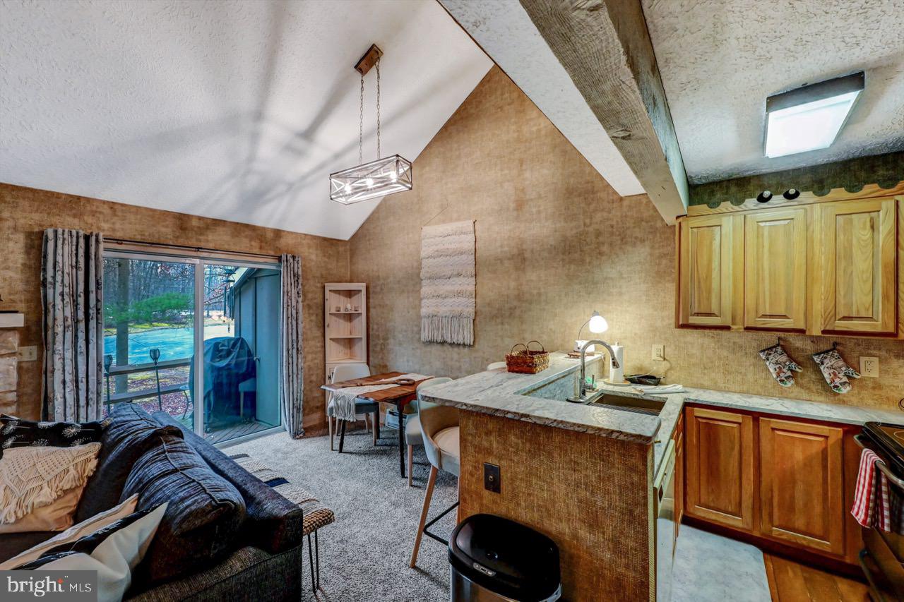 SNOW RIDGE VILLAGE - Residential