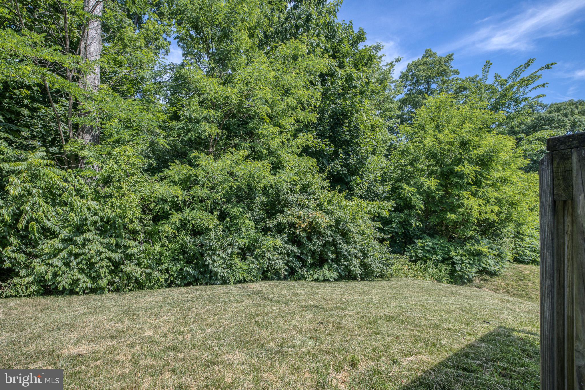 WILDFLOWER RIDGE - Residential