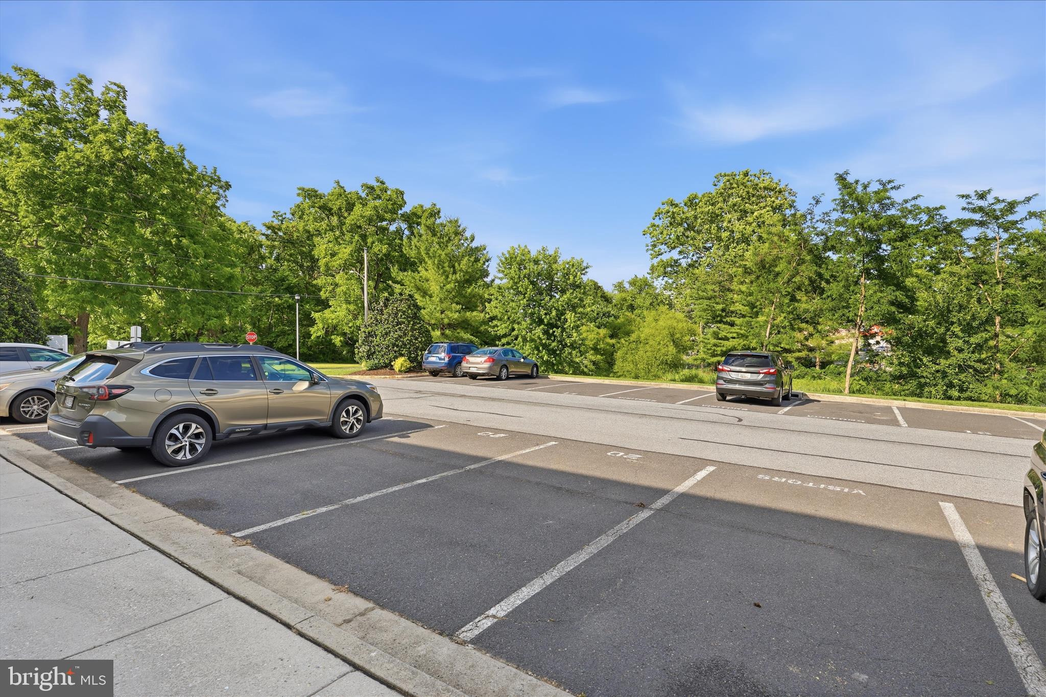 ALTAMONT GARDENS - Residential