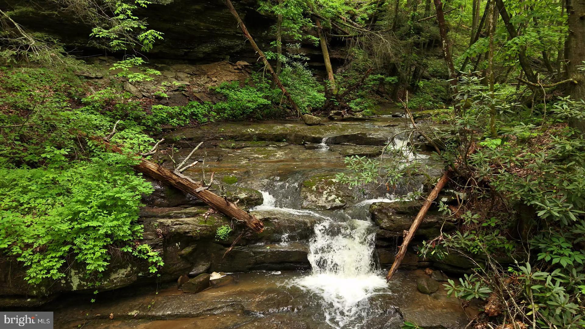 This exceptional recreational tract offers a rare opportunity to own a large piece of wild and scenic West Virginia. Nestled in the heart of Appalachia. The property borders the Bluestone River, renowned for its rugged beauty and outdoor adventure potential, and boasts frontage along Laurel Branch, with breathtaking views of cascading waterfalls and crystal-clear waters.

With a vast network of established ATV and UTV trails winding through the property, exploration and access are seamless. The land is teeming with wildlife—loaded with sign of whitetail deer and black bear, and offering excellent trapping opportunities for bobcats and coyotes. For the timber investor, the property includes stands of marketable hardwood, adding both recreational and investment value.

Outdoor enthusiasts will appreciate the property’s proximity to several major recreational destinations. Pipestem State Park, just minutes away, offers guided trout fishing tours, mountain biking, hiking, and exhilarating zipline adventures. Also nearby are Bluestone State Park and the world-famous New River Gorge National Park and Preserve—providing endless options for whitewater rafting, rock climbing, and hiking. Winterplace Ski Resort and The Resort at Glade Springs are within easy reach, offering four-season fun from skiing to spa days.

Whether you're seeking a personal retreat, an off-grid hunting camp, or a long-term land investment, this property delivers year-round adventure and unmatched natural beauty. A rare find in a region celebrated for its wild character and outdoor recreation.