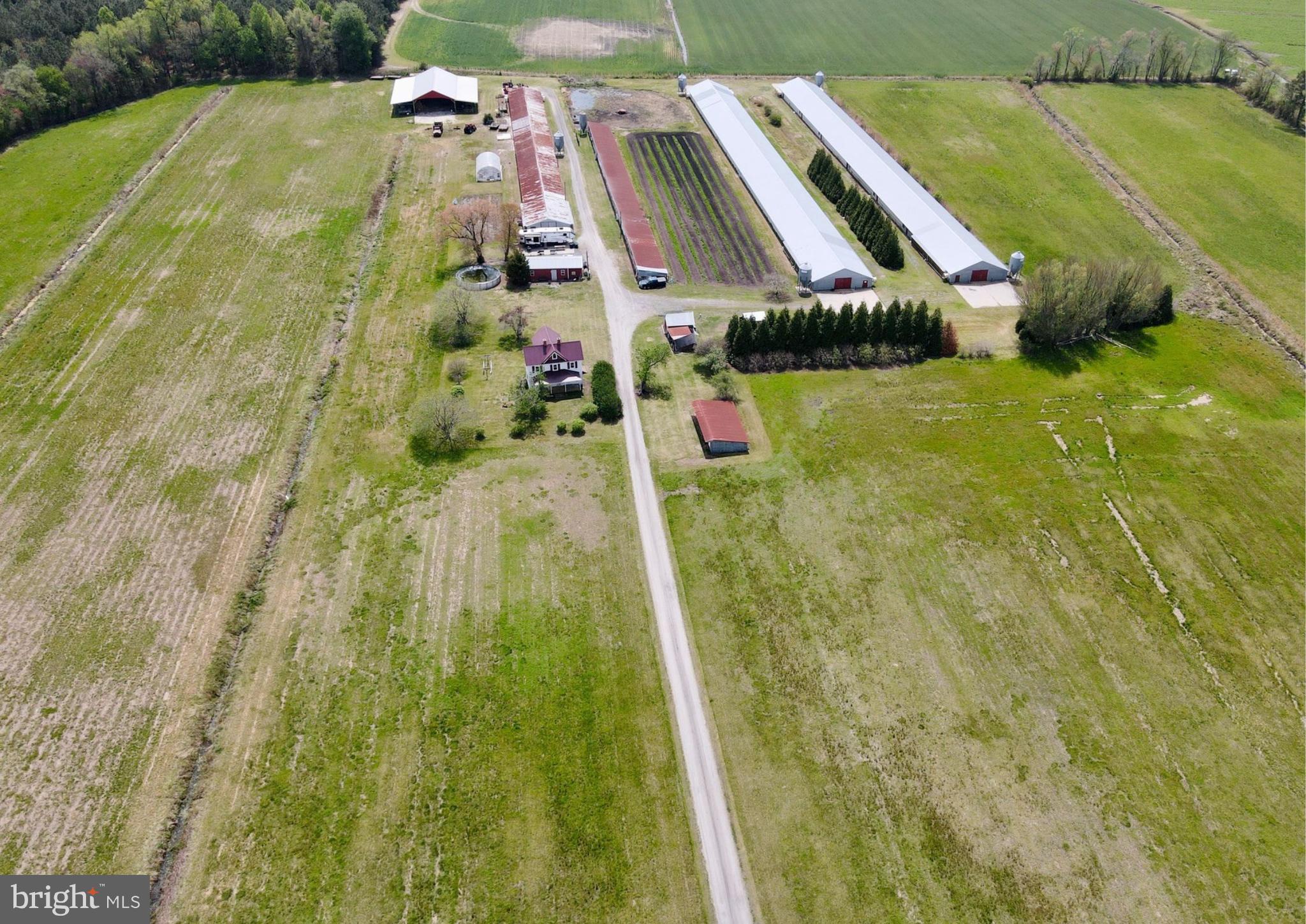 Escape to your own private slice of paradise with this stunning offering: a 26-acre  farm perfectly situated just 30 minutes from the ocean. This idyllic property blends rural charm with coastal convenience, offering endless possibilities for farming, homesteading, or creating your dream retreat. Whether you're a hobby farmer, an equestrian enthusiast, or simply craving wide-open space, this property provides the flexibility to bring your vision to life. The property boasts multiple outbuildings, a diesel farm generator, and is currently in hay production. Call for details!