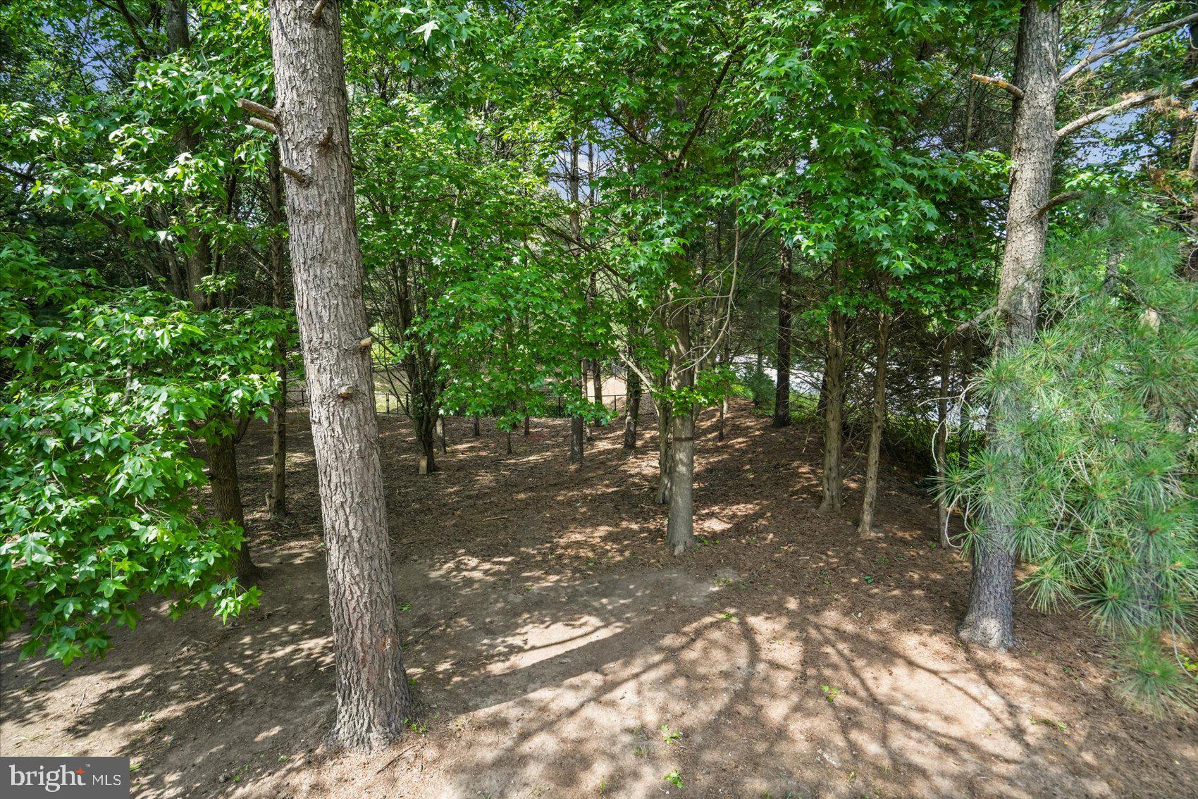 ROCK CREEK LANDING - Residential