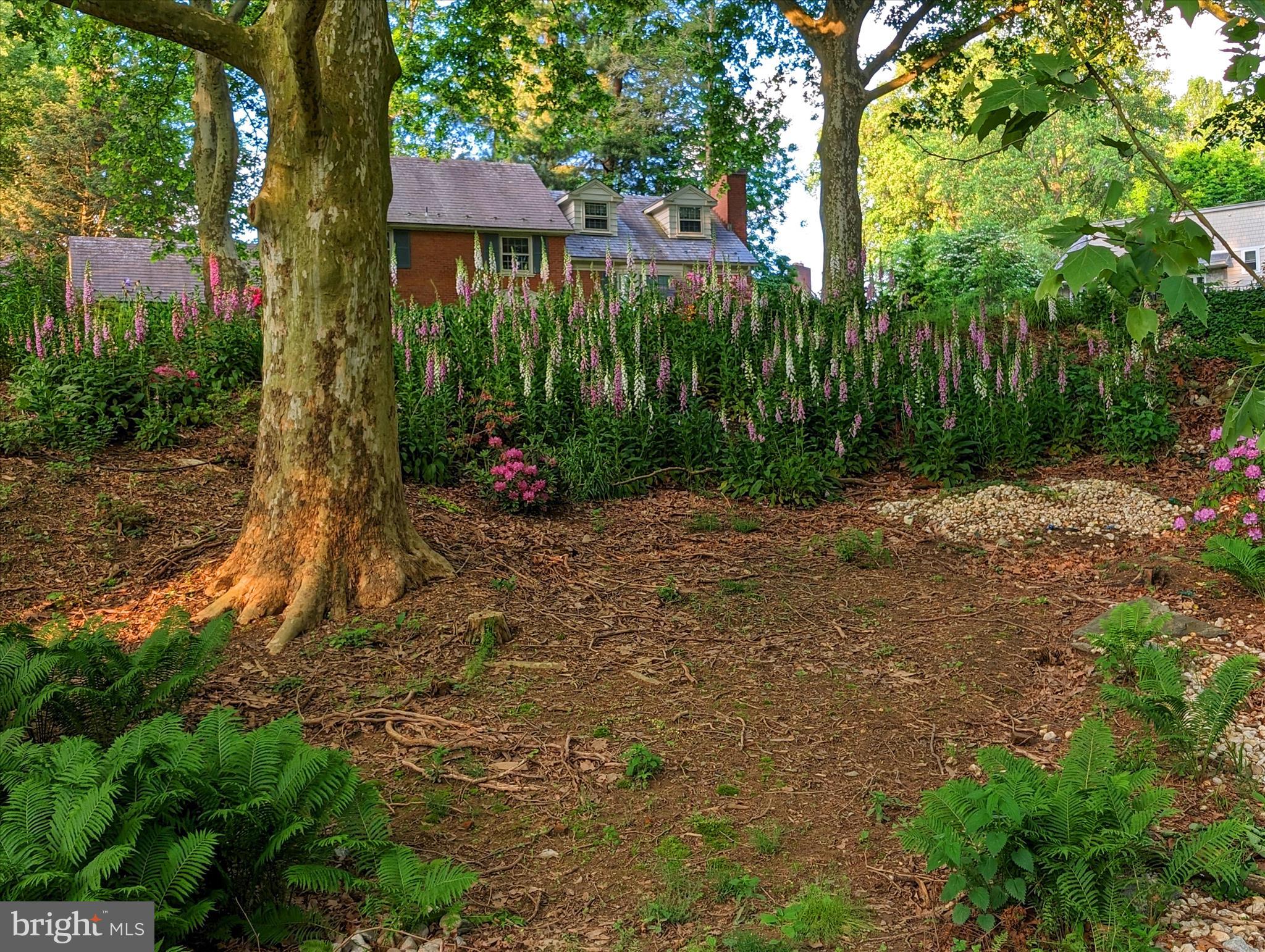 SCHOOL LANE HILLS - Residential