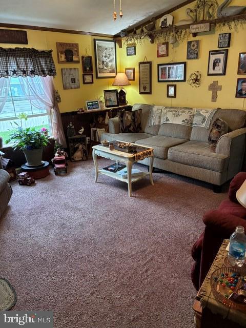 COUNTRY ACRES GOLD - Residential